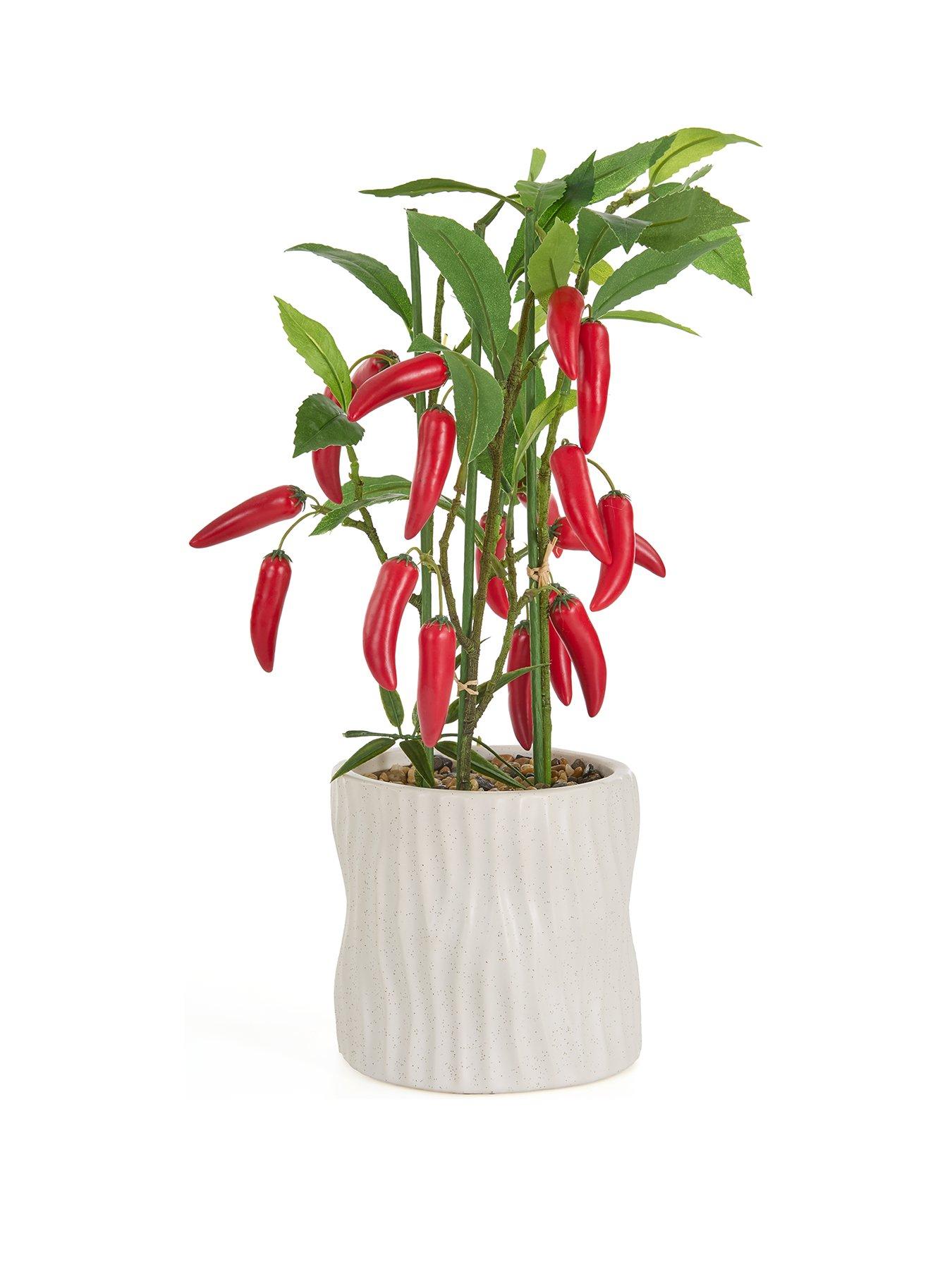 Image 2 of 7 of The Very Collection Faux Chilli Plant in Ceramic Pot