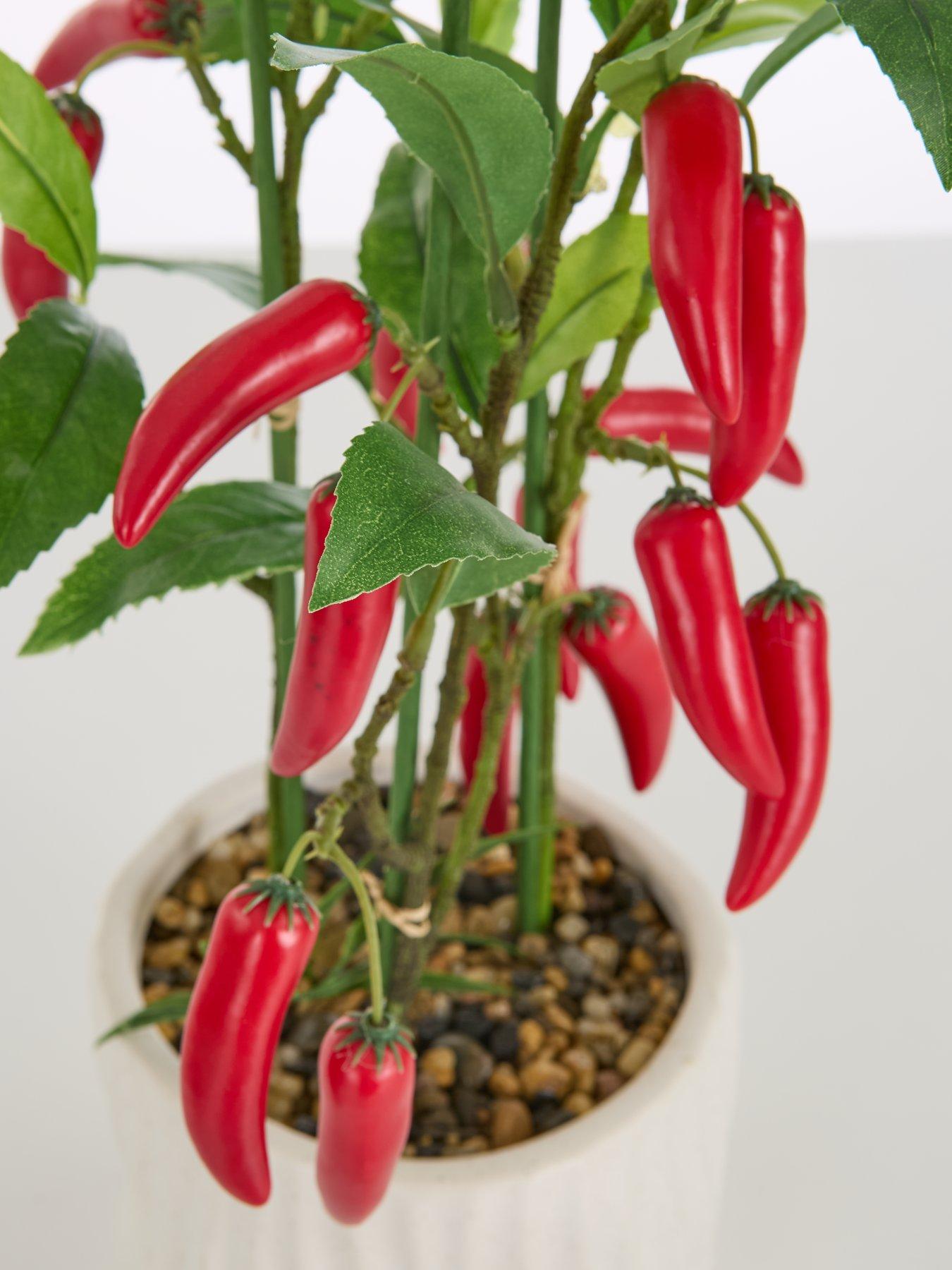 Image 3 of 7 of The Very Collection Faux Chilli Plant in Ceramic Pot