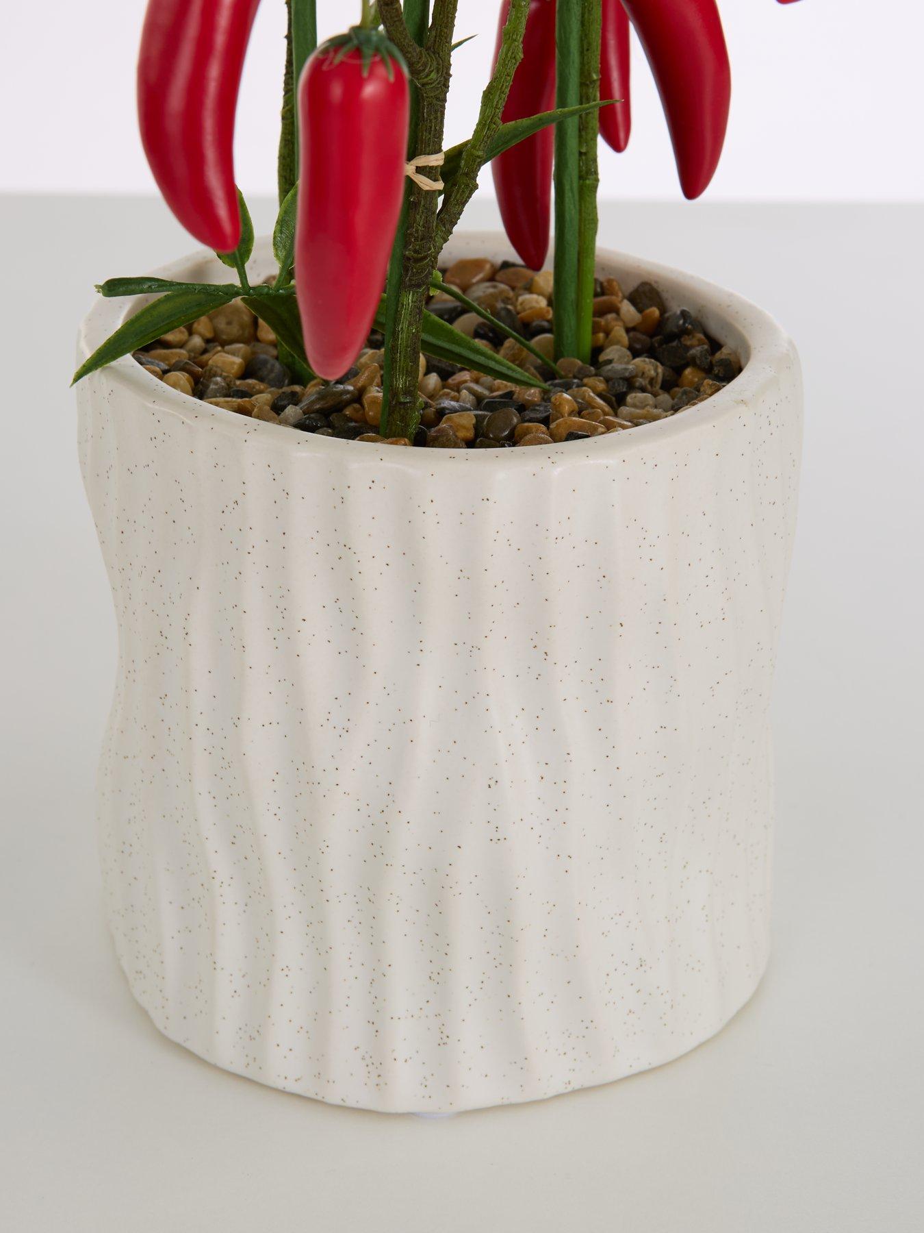Image 4 of 7 of The Very Collection Faux Chilli Plant in Ceramic Pot