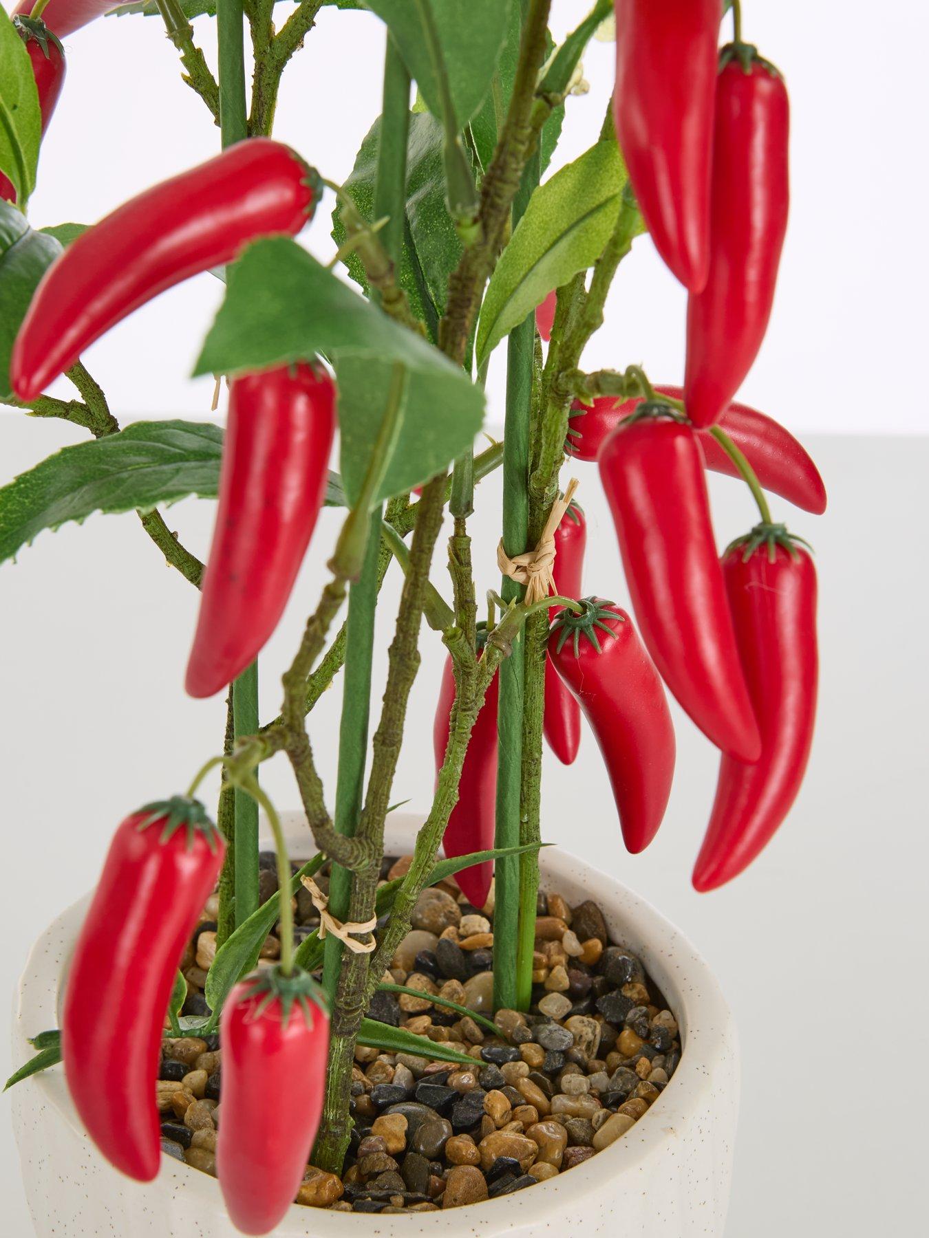 Image 5 of 7 of The Very Collection Faux Chilli Plant in Ceramic Pot