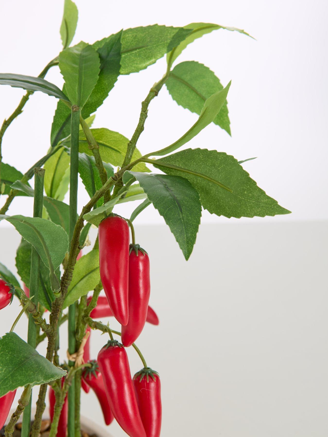 Image 6 of 7 of The Very Collection Faux Chilli Plant in Ceramic Pot