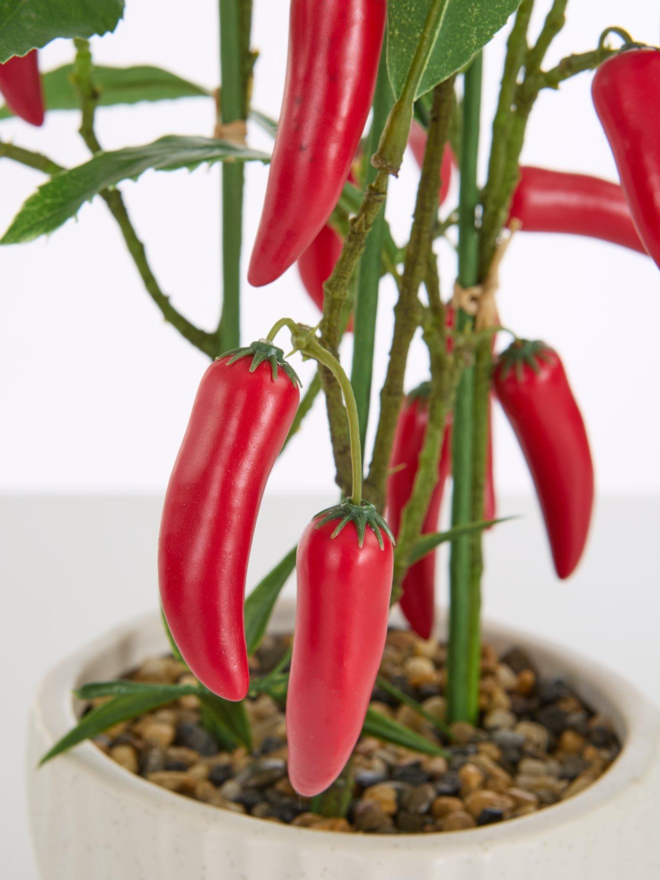 Image 7 of 7 of The Very Collection Faux Chilli Plant in Ceramic Pot