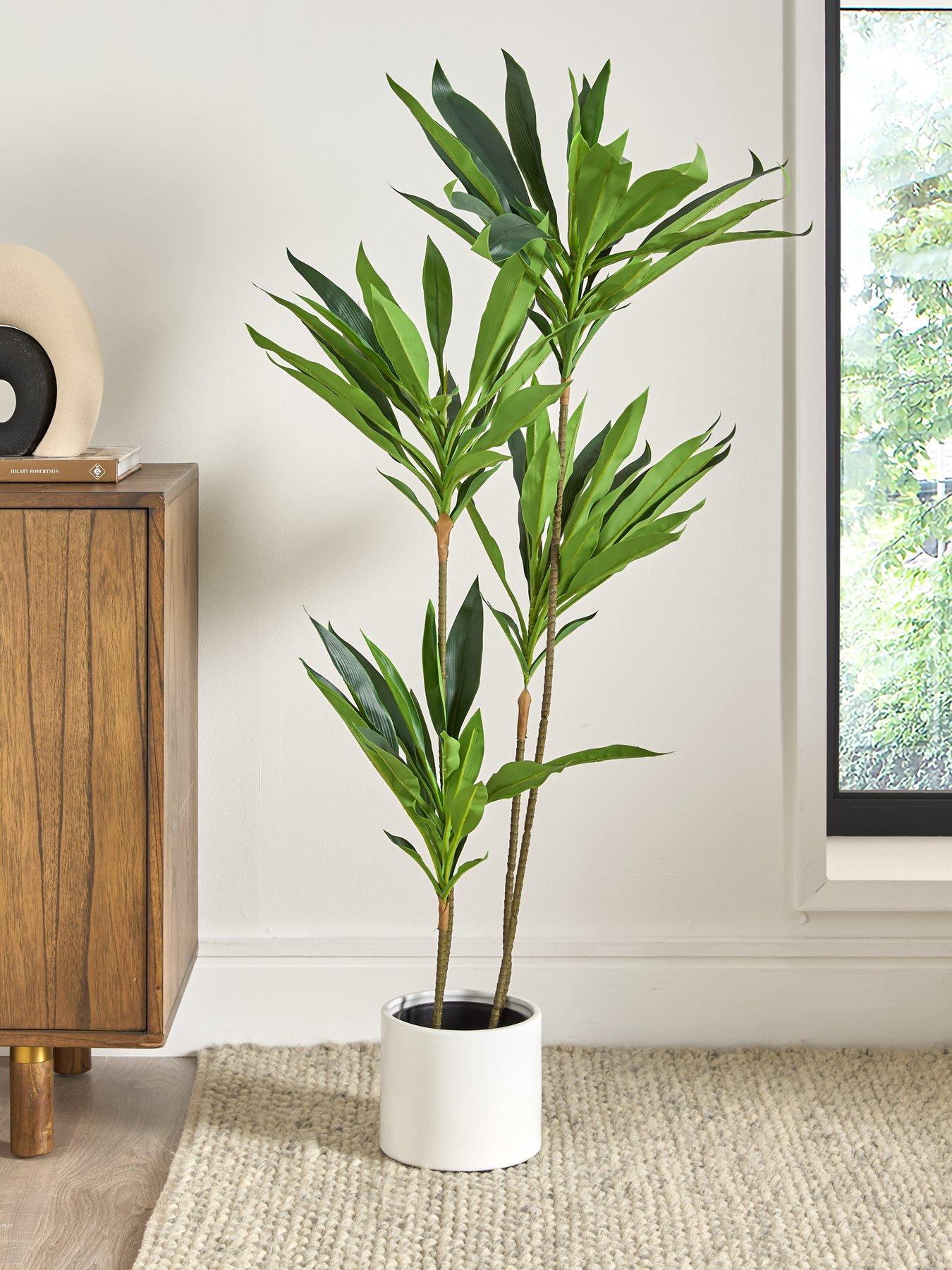 Image of Very Home Real Touch Faux Dracaena Tree in Plastic Pot