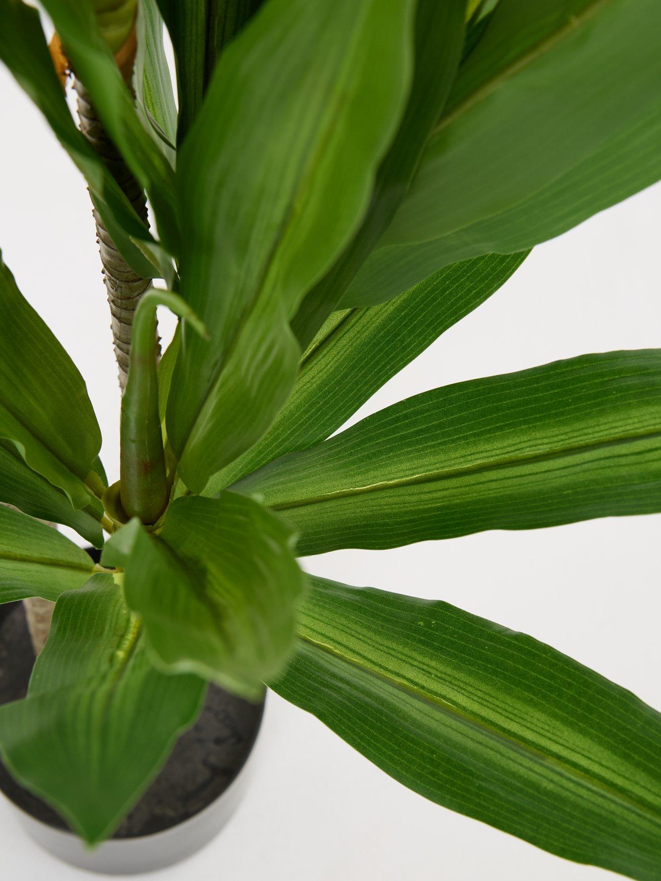 the-very-collection-real-touch-faux-dracaena-tree-in-plastic-potback