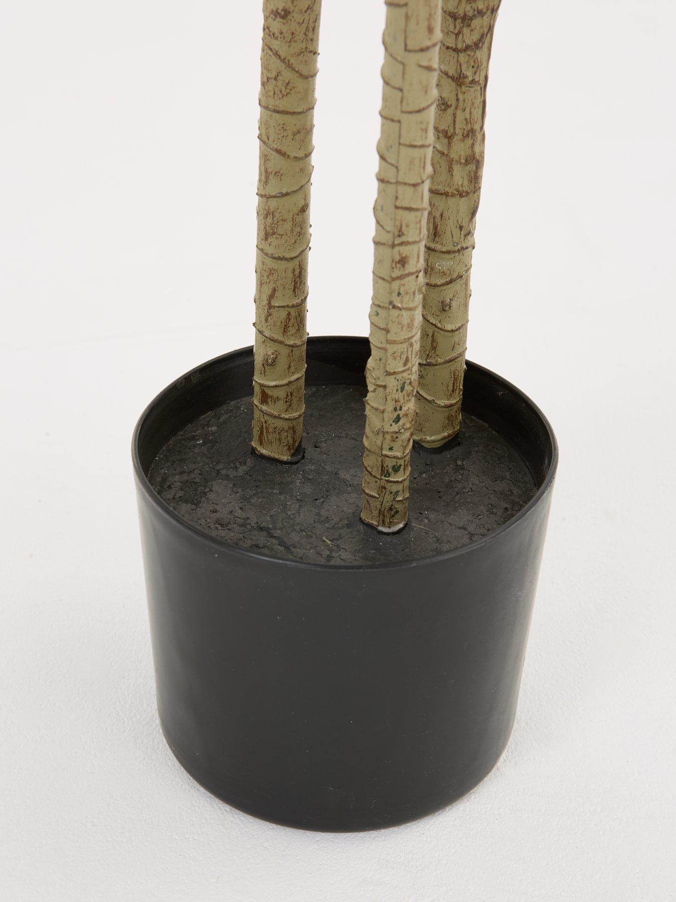 the-very-collection-real-touch-faux-dracaena-tree-in-plastic-potoutfit