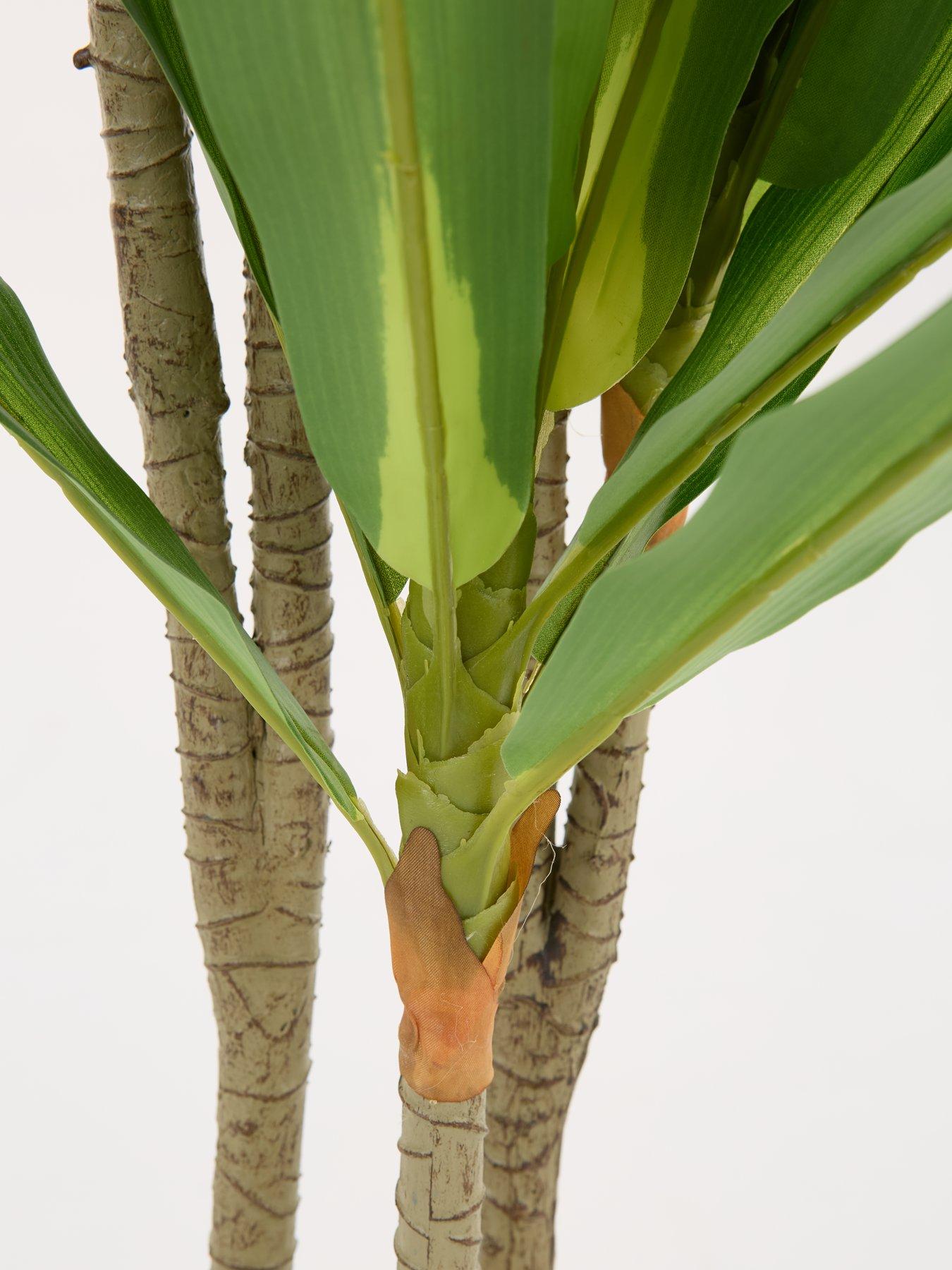 the-very-collection-real-touch-faux-dracaena-tree-in-plastic-potdetail