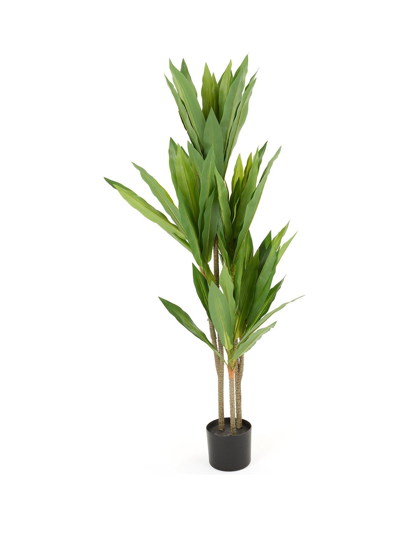 the-very-collection-real-touch-faux-dracaena-tree-in-plastic-potstillFront