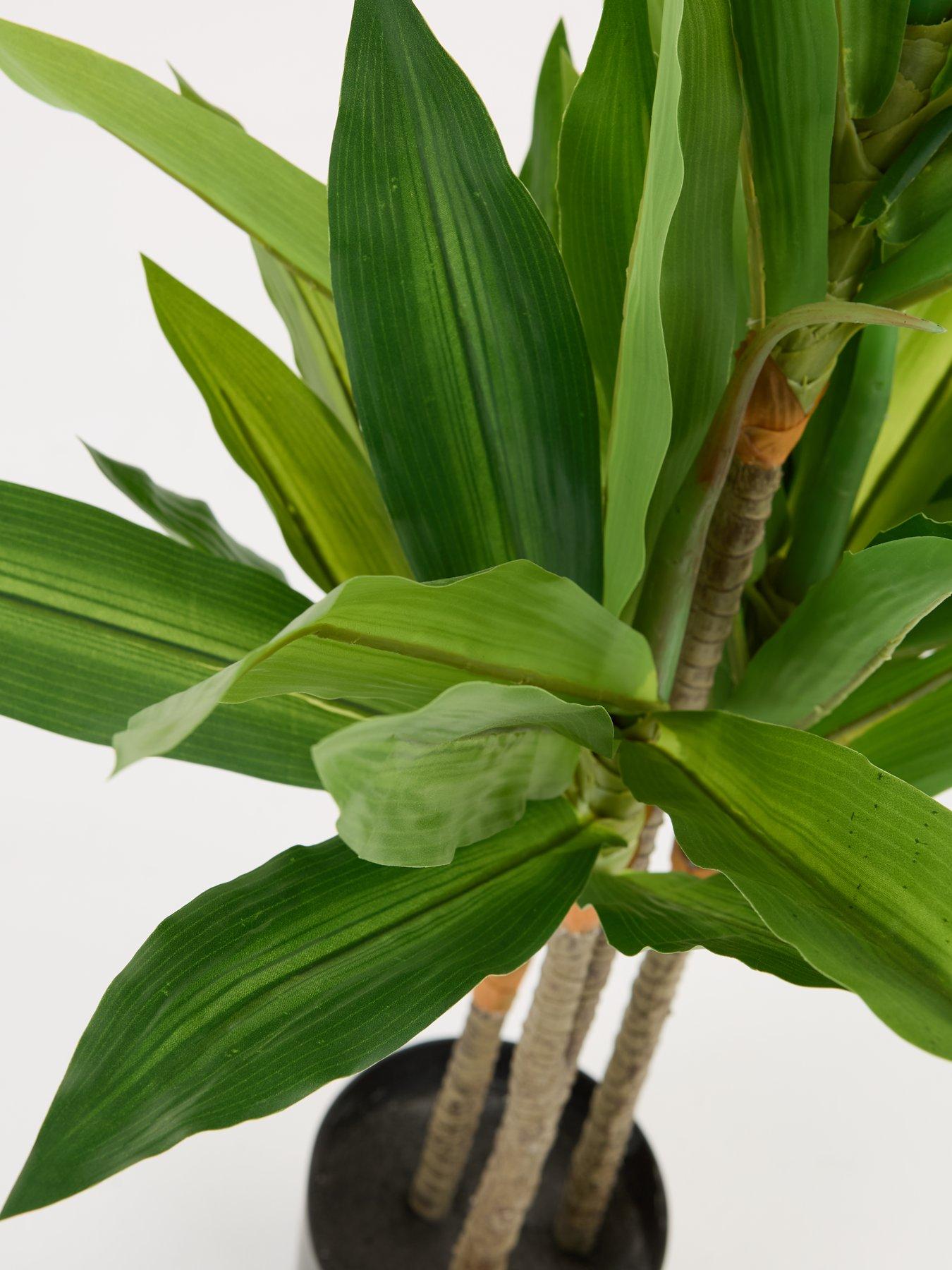 the-very-collection-real-touch-faux-dracaena-tree-in-plastic-potback