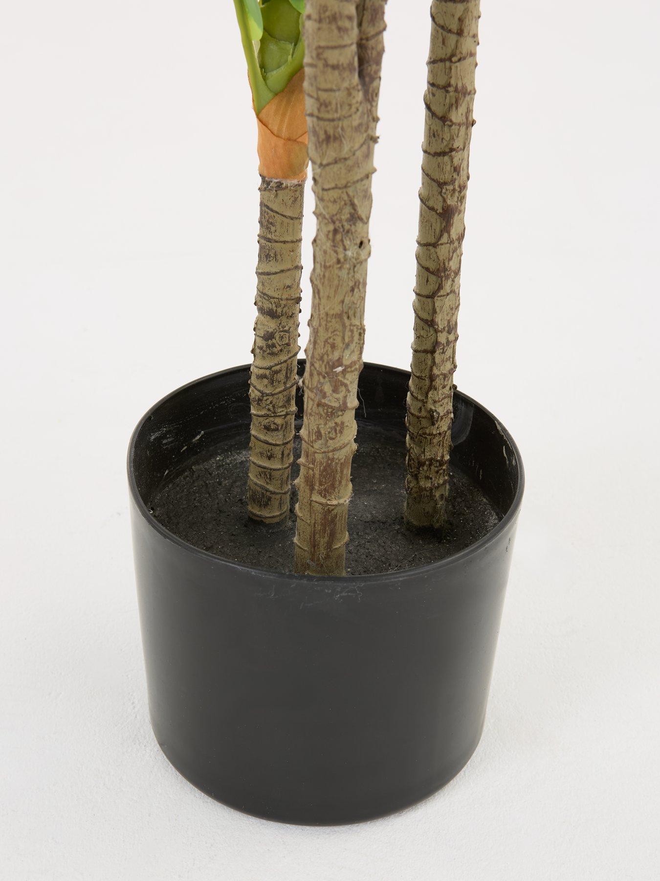 the-very-collection-real-touch-faux-dracaena-tree-in-plastic-potoutfit