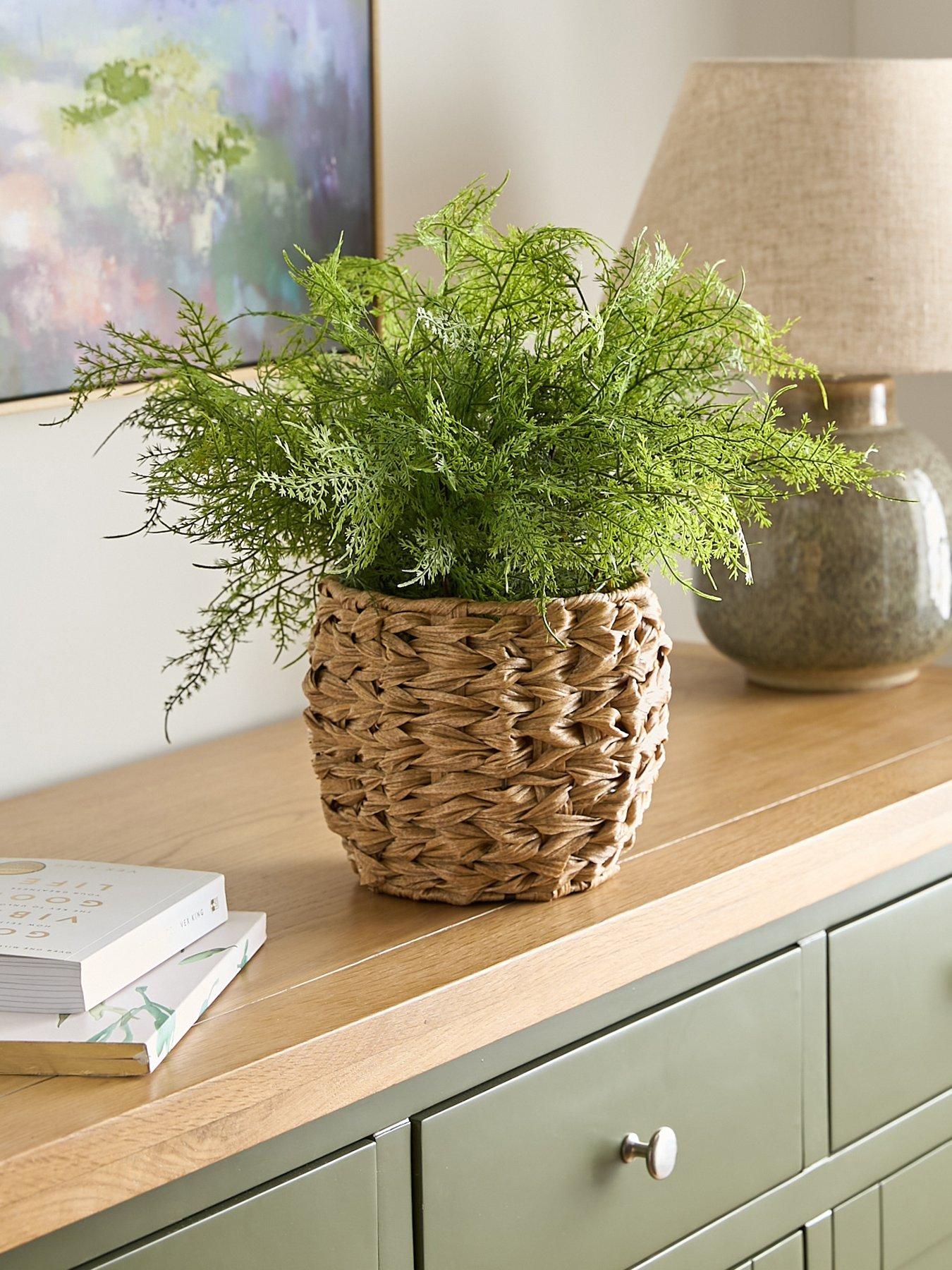 the-very-collection-artificial-fern-in-woven-basket