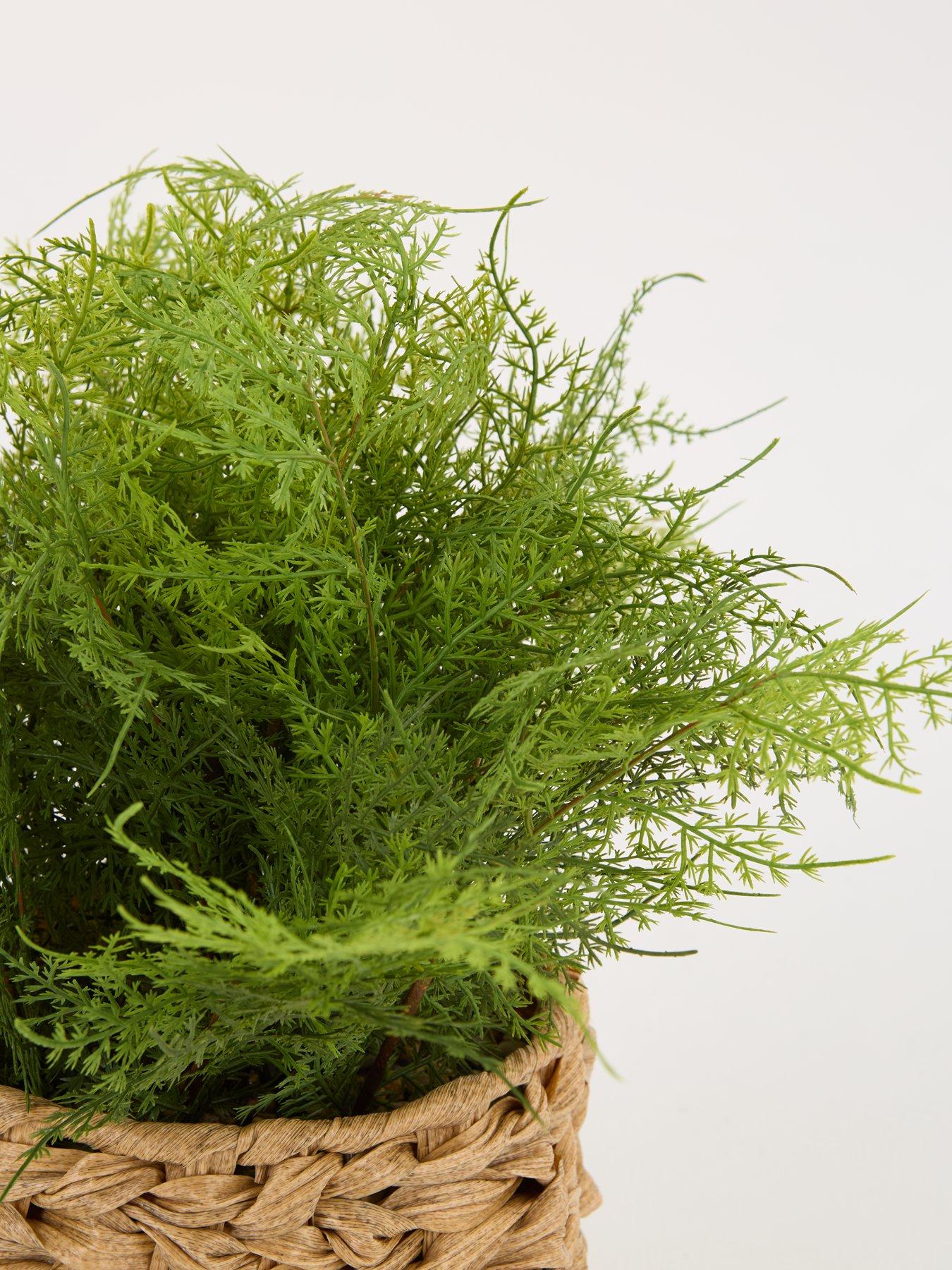 the-very-collection-artificial-fern-in-woven-basketdetail