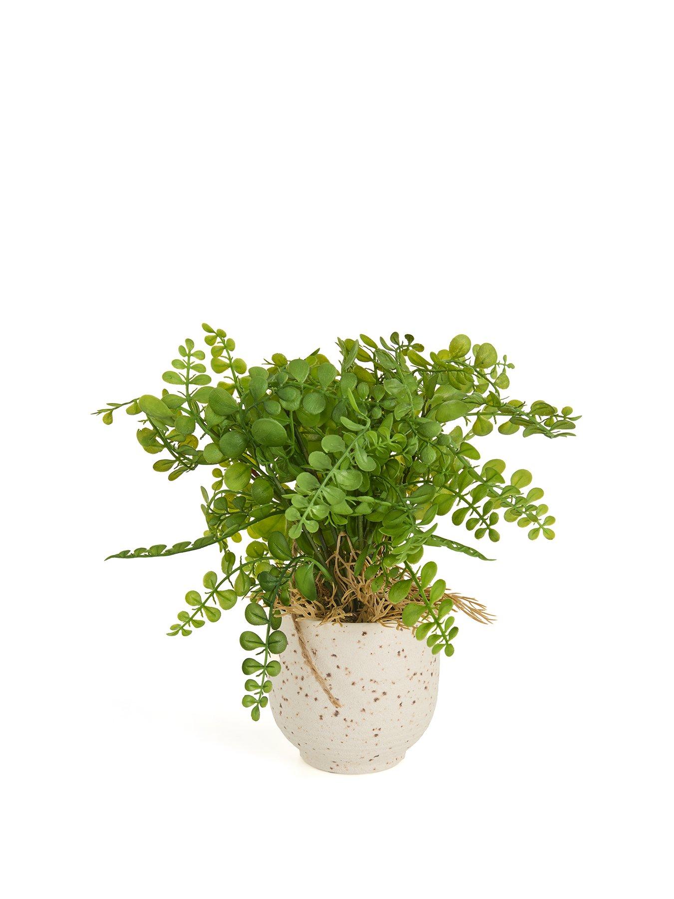 the-very-collection-artificial-fern-in-speckled-ceramic-potstillFront