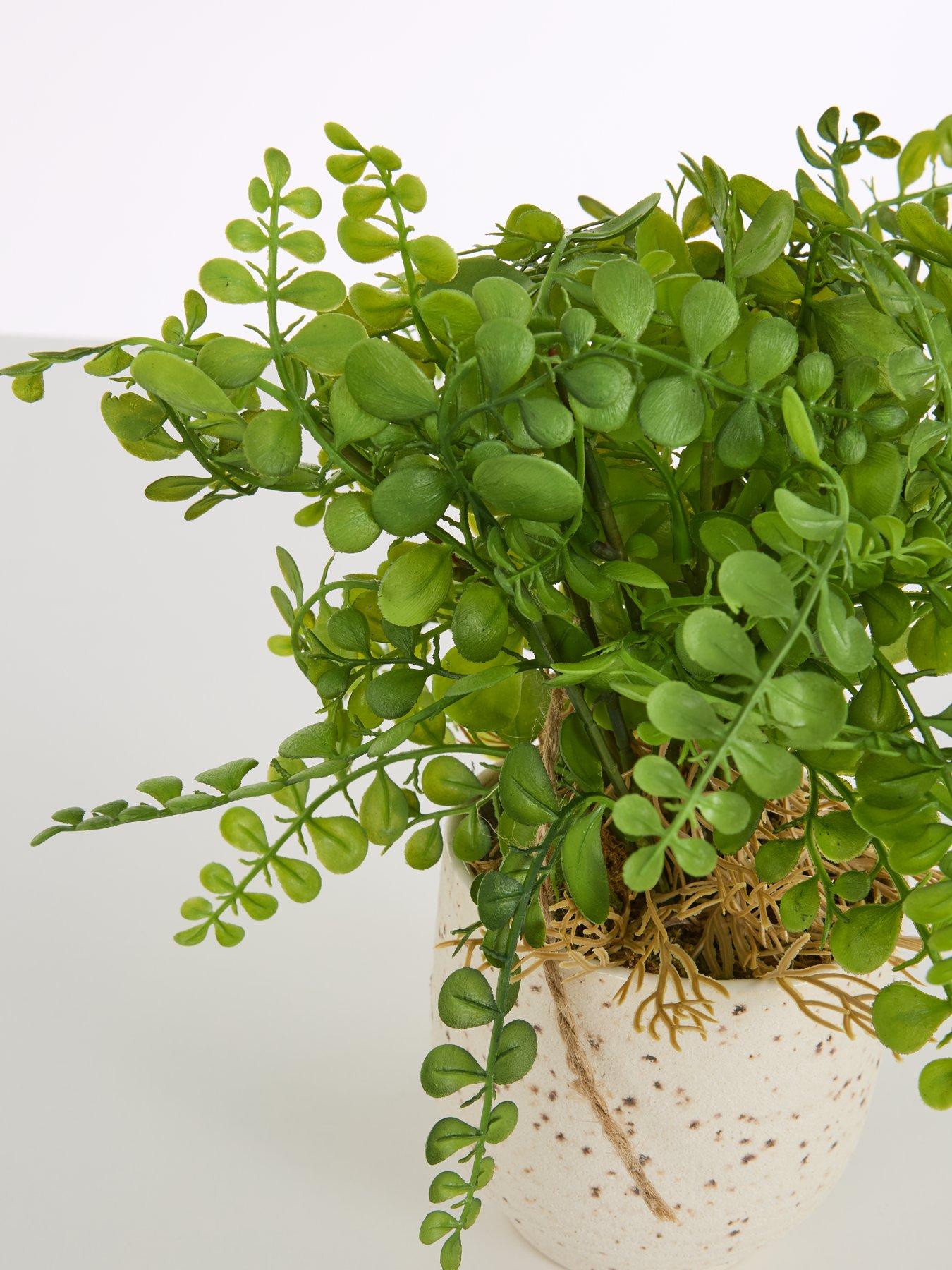 the-very-collection-artificial-fern-in-speckled-ceramic-potback
