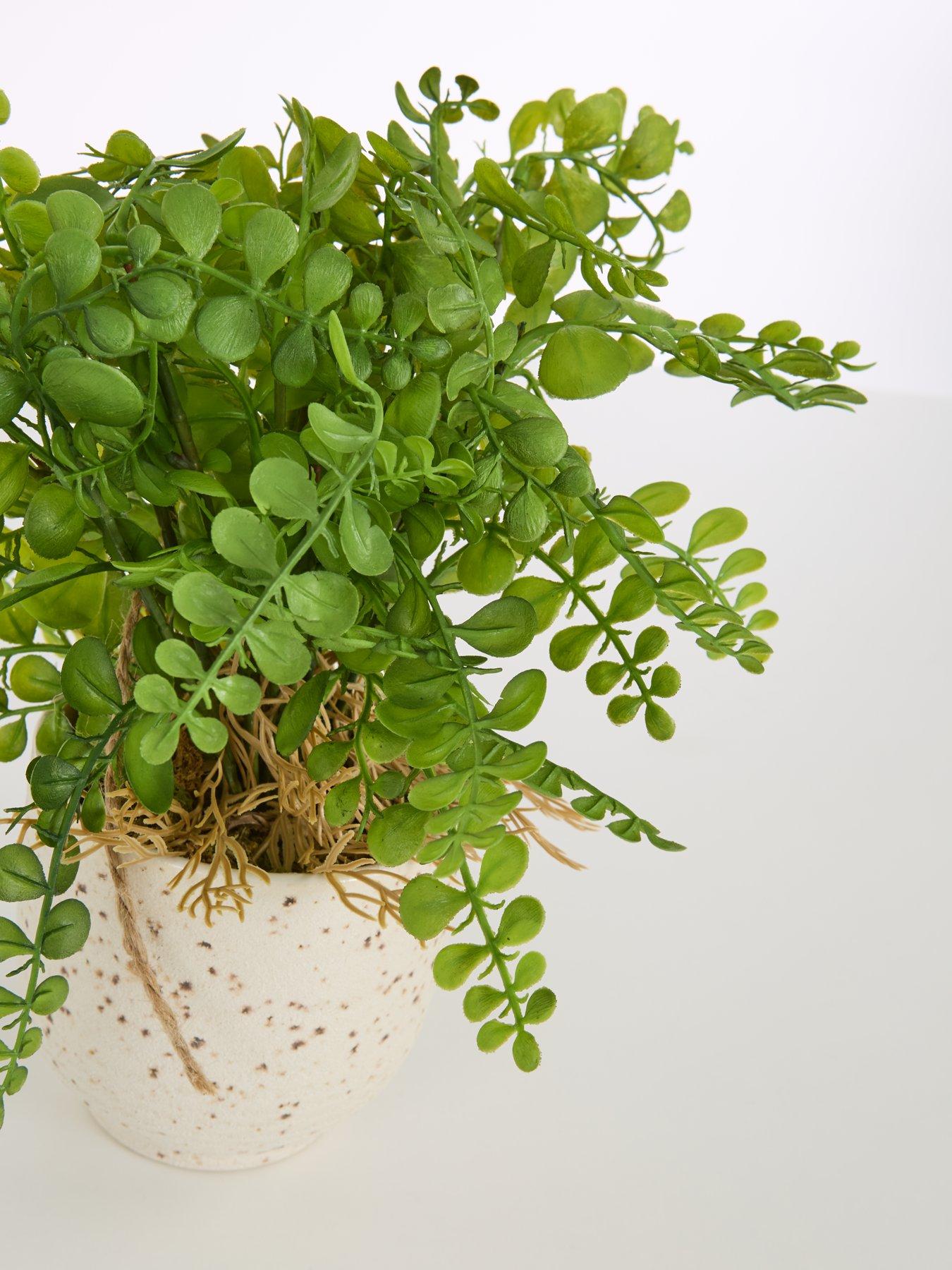 the-very-collection-artificial-fern-in-speckled-ceramic-potoutfit
