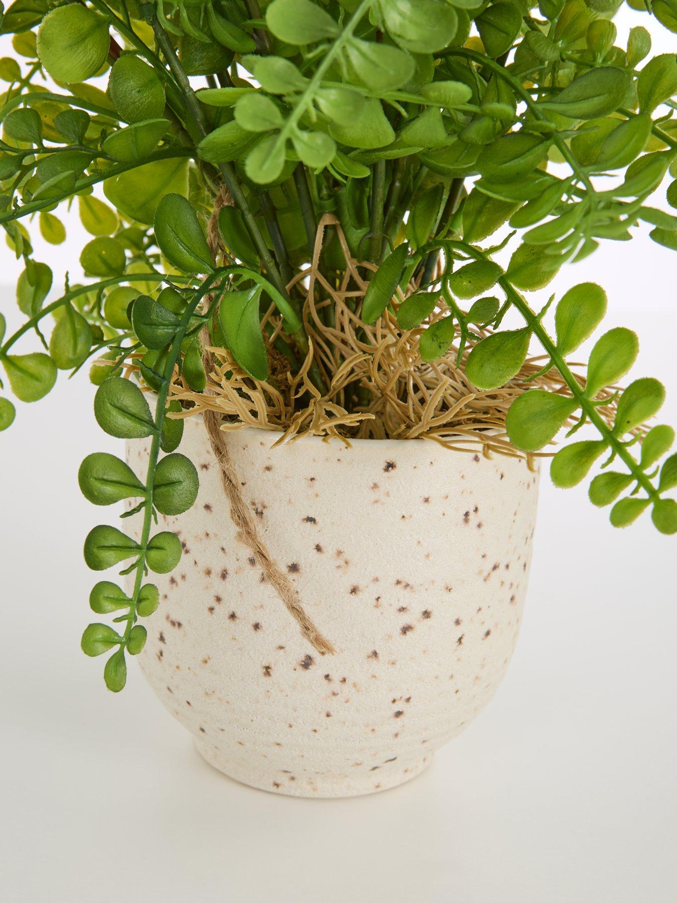 the-very-collection-artificial-fern-in-speckled-ceramic-potdetail