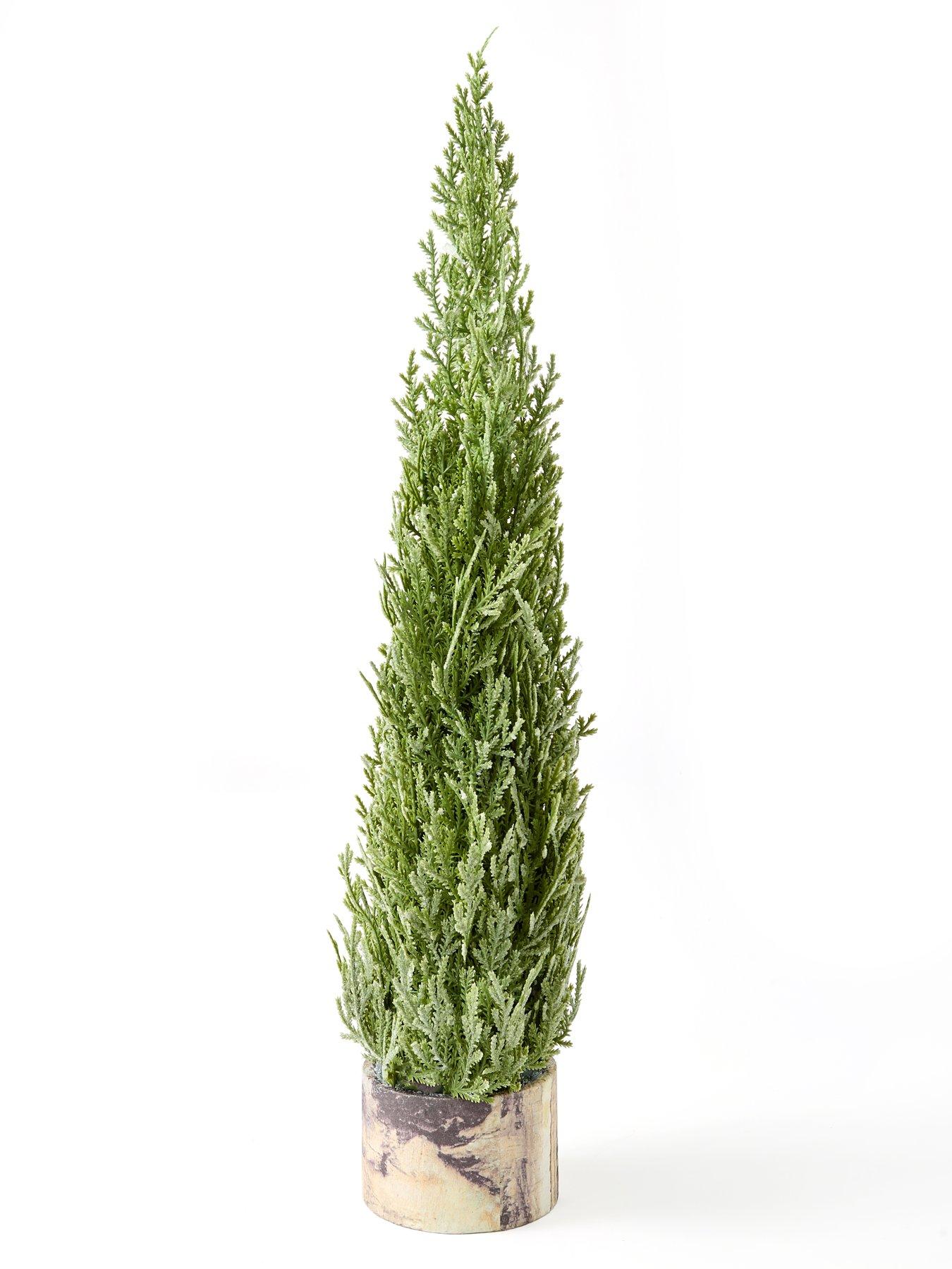 festive-55-cm-frosted-green-christmasnbspfern-in-wooden-potnbspstillFront