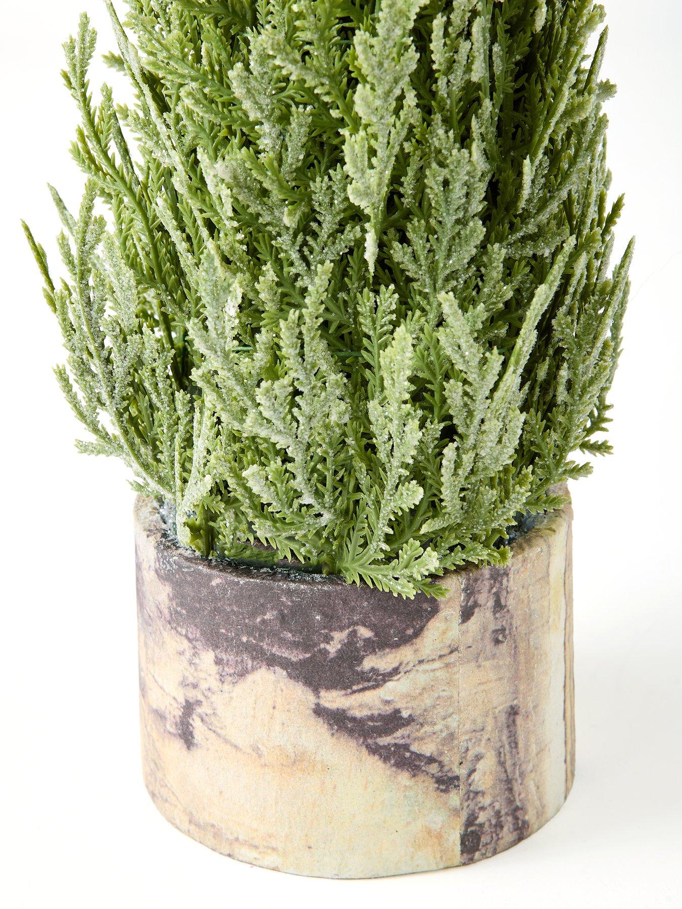 festive-55-cm-frosted-green-christmasnbspfern-in-wooden-potnbspback