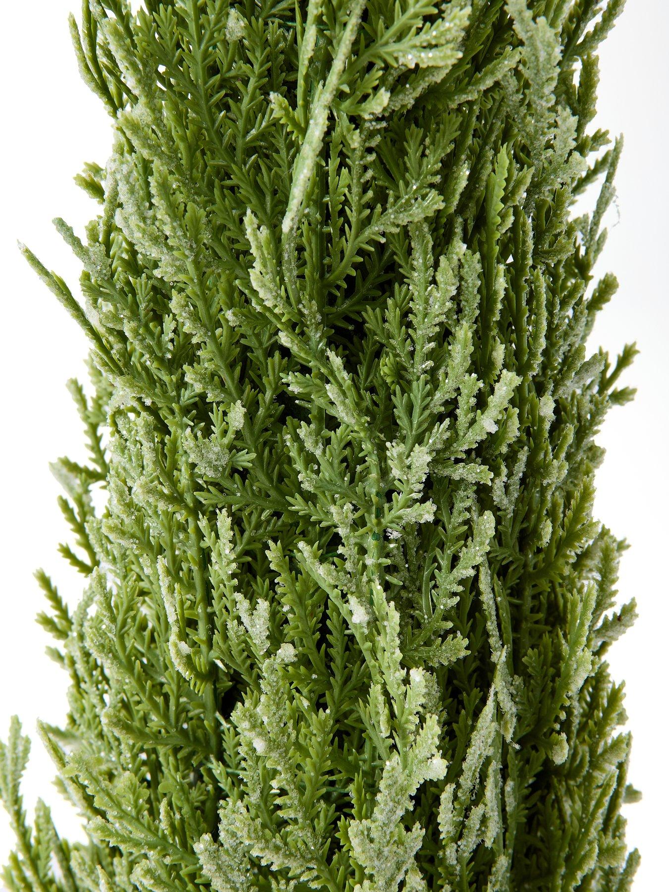 festive-55-cm-frosted-green-christmasnbspfern-in-wooden-potnbspoutfit