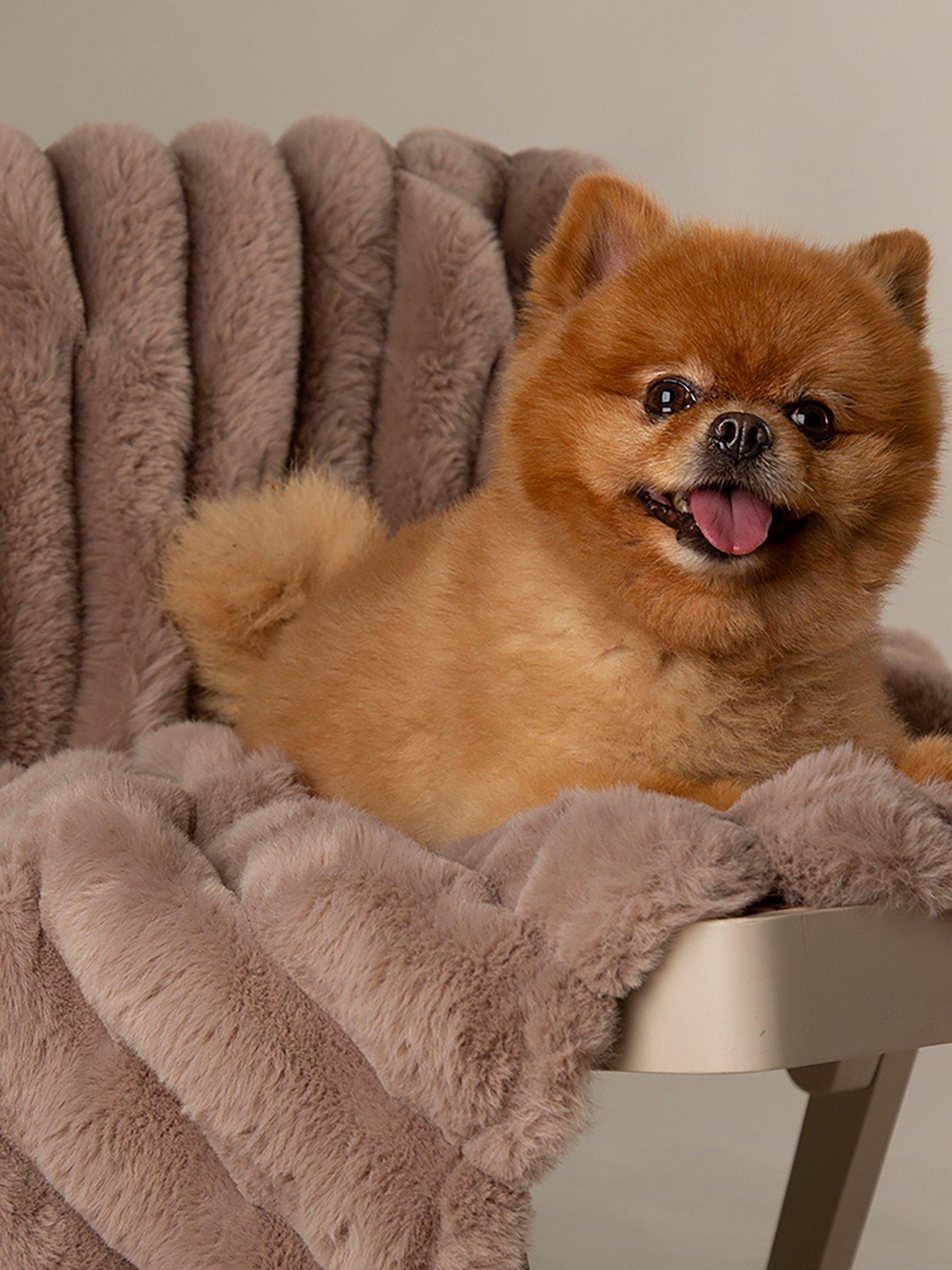 Scruffs Scruffs Aspen Pet Blanket