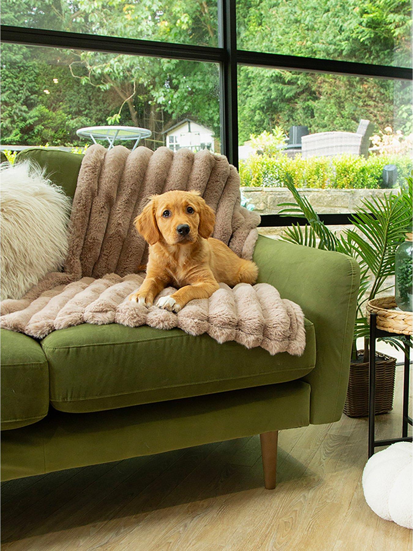 scruffs-scruffs-aspen-pet-blanketoutfit