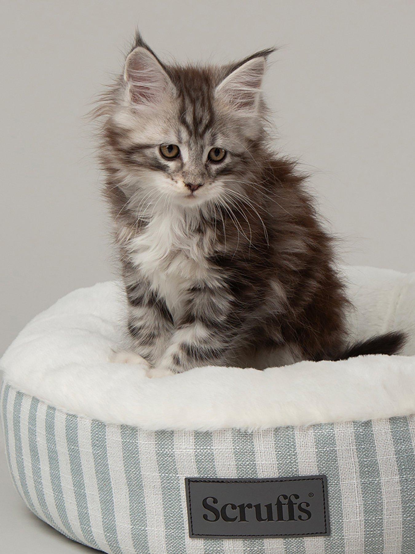 undefined Scruffs Coastal Cat/Small Dog Bed