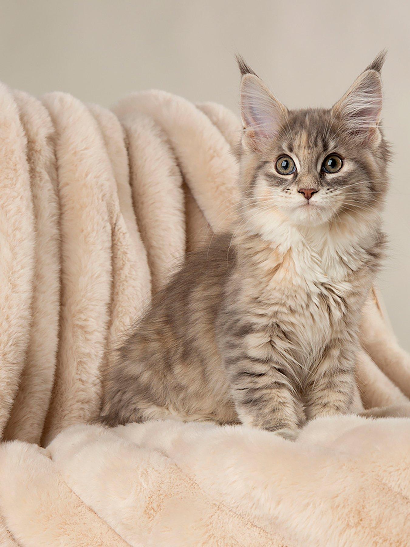 Image 4 of 7 of Scruffs Scruffs Aspen Pet Blanket