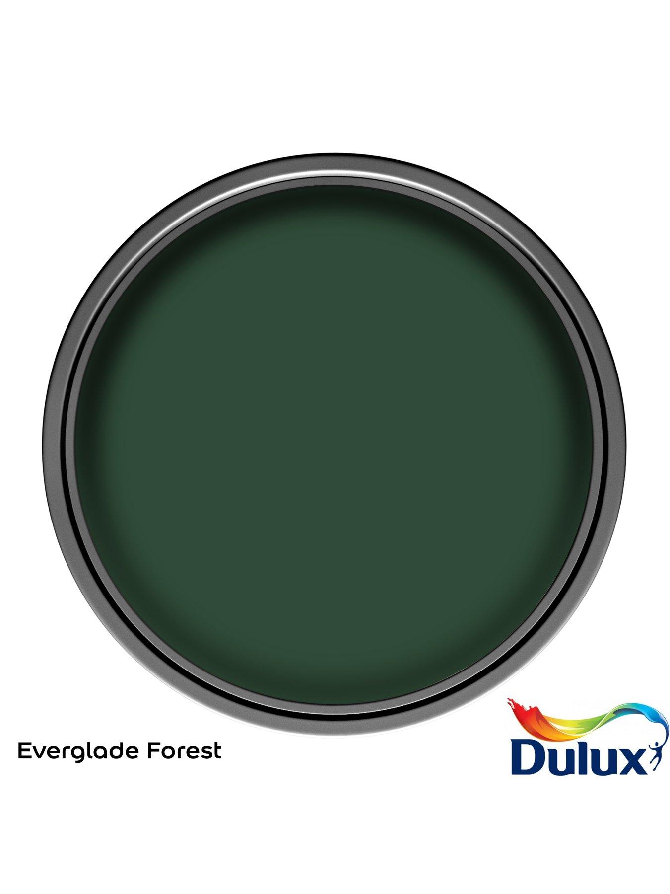 dulux-dulux-sr-one-coat-fwall-everforest-125loutfit