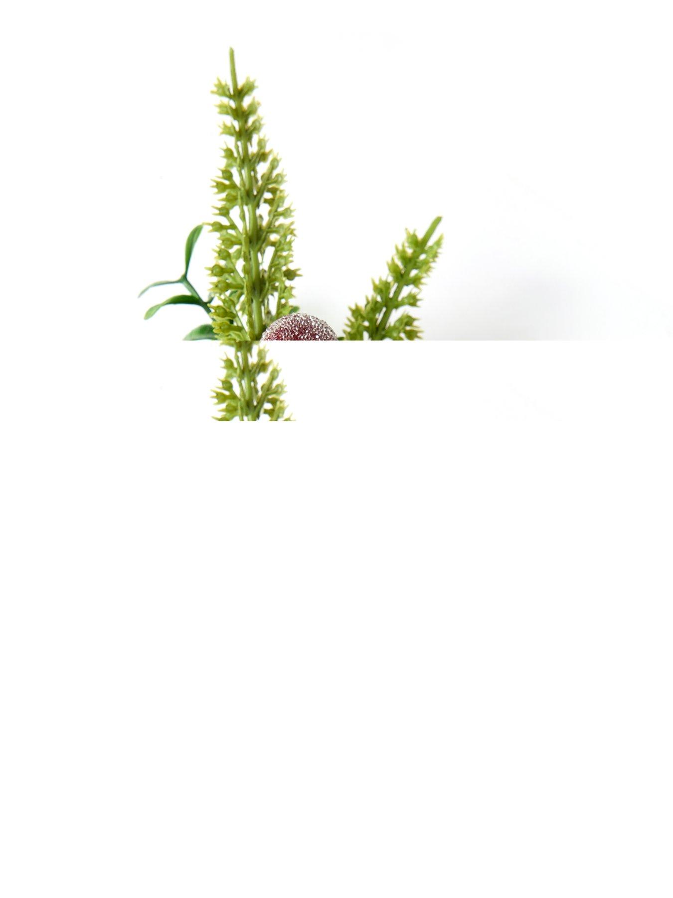 very-home-set-ofnbsp4-christmas-name-card-holders-and-napkin-rings-2-of-eachback