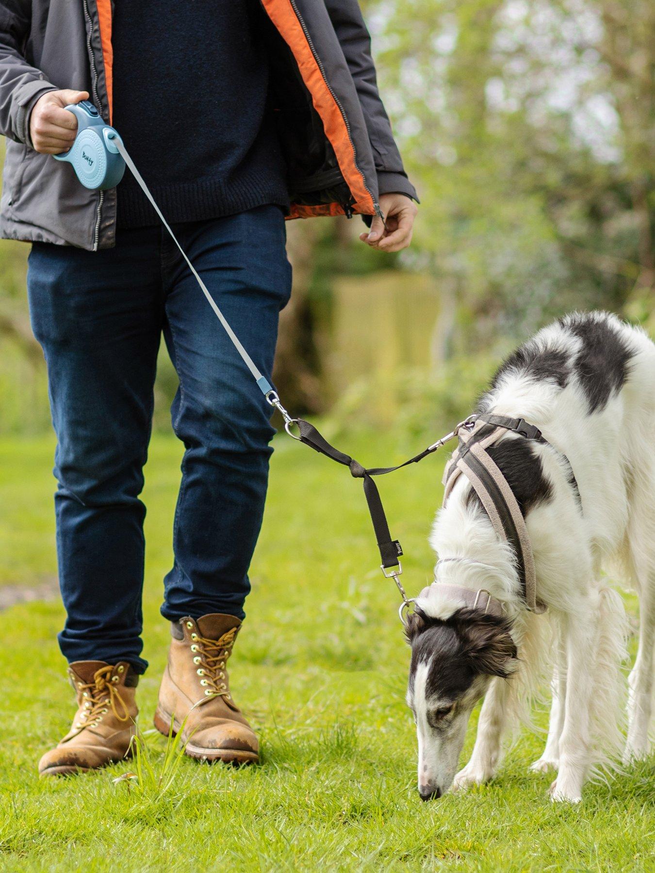 undefined Bunty Explorer Pet Lead