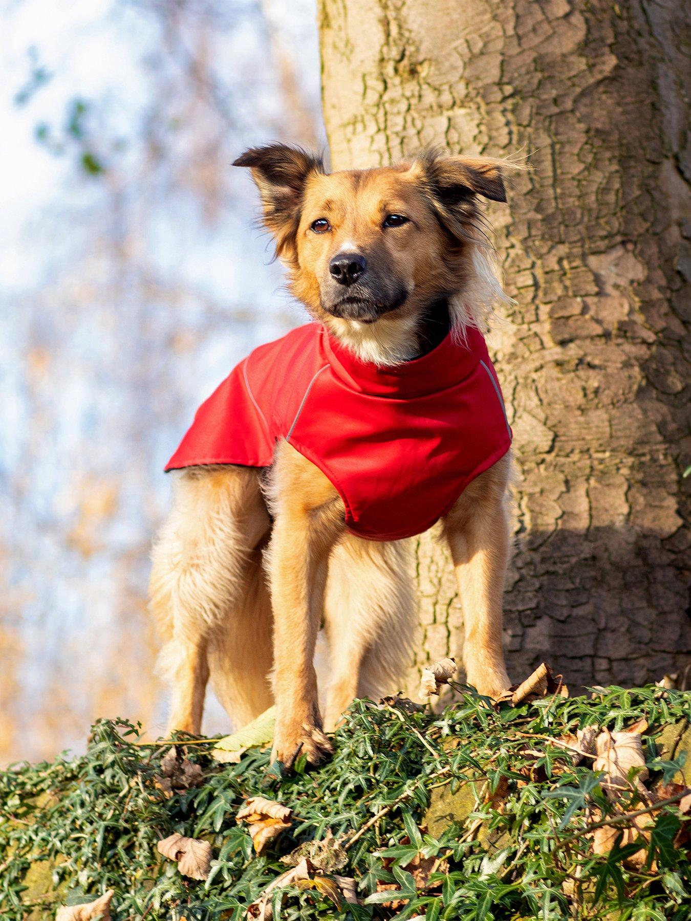 bunty-bunty-downpaw-jacket