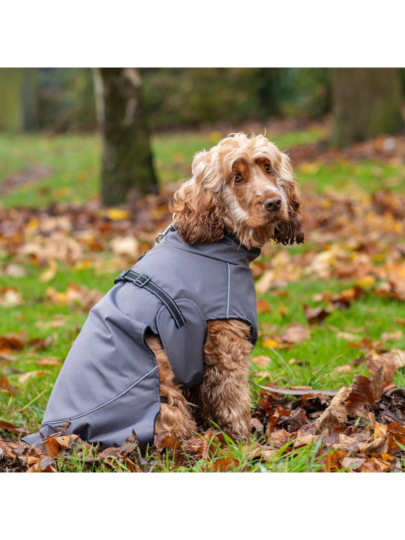 bunty-bunty-downpaw-jacketdetail