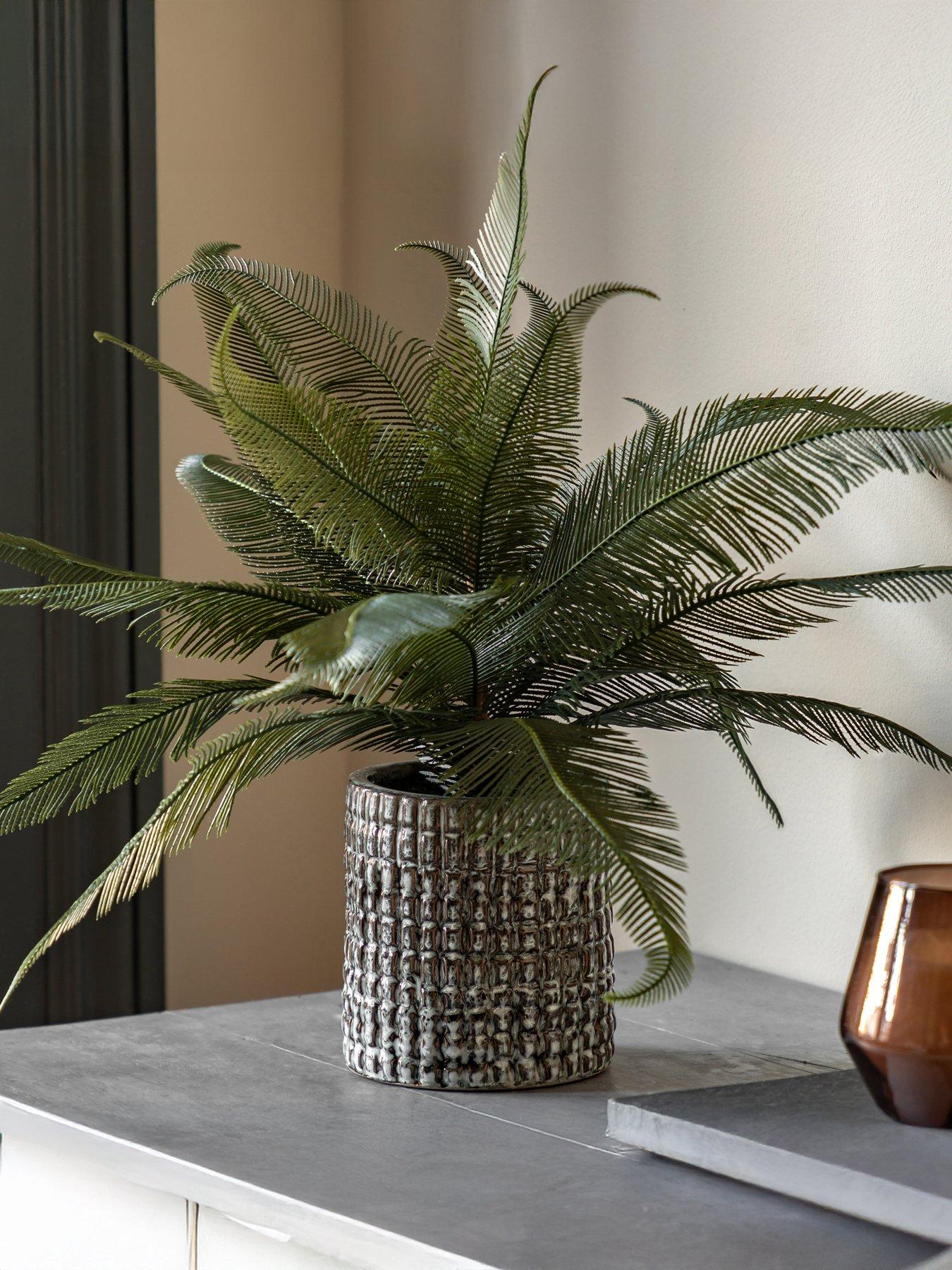 gallery-direct-wide-fern-in-concrete-pot