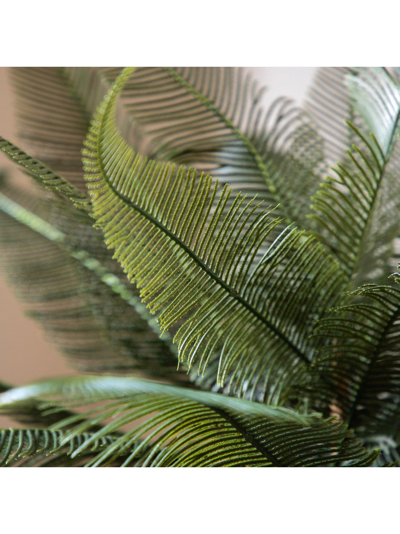 gallery-direct-wide-fern-in-concrete-potback