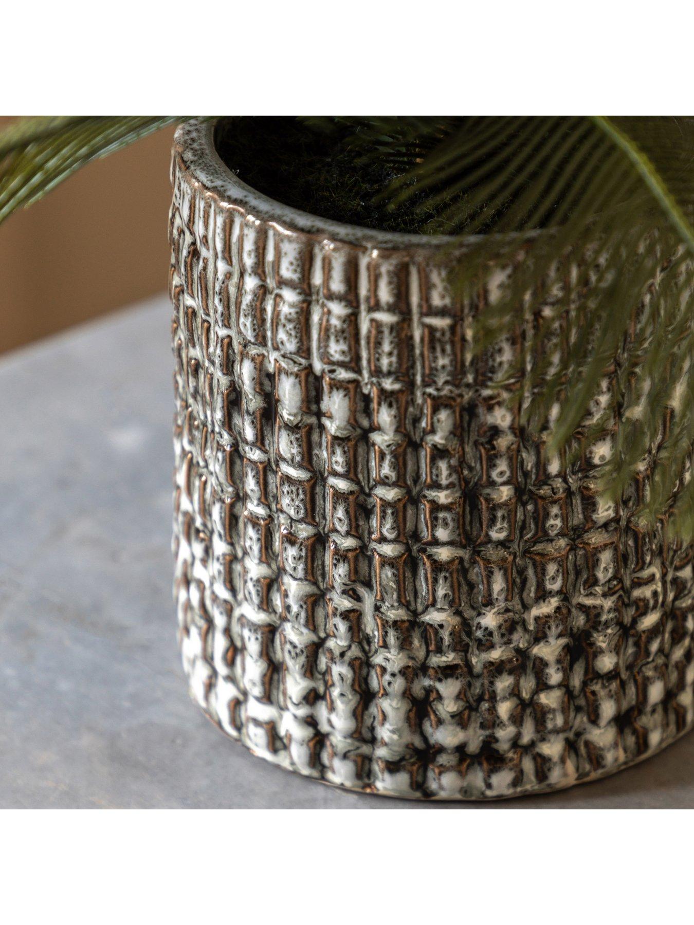 gallery-direct-wide-fern-in-concrete-potoutfit