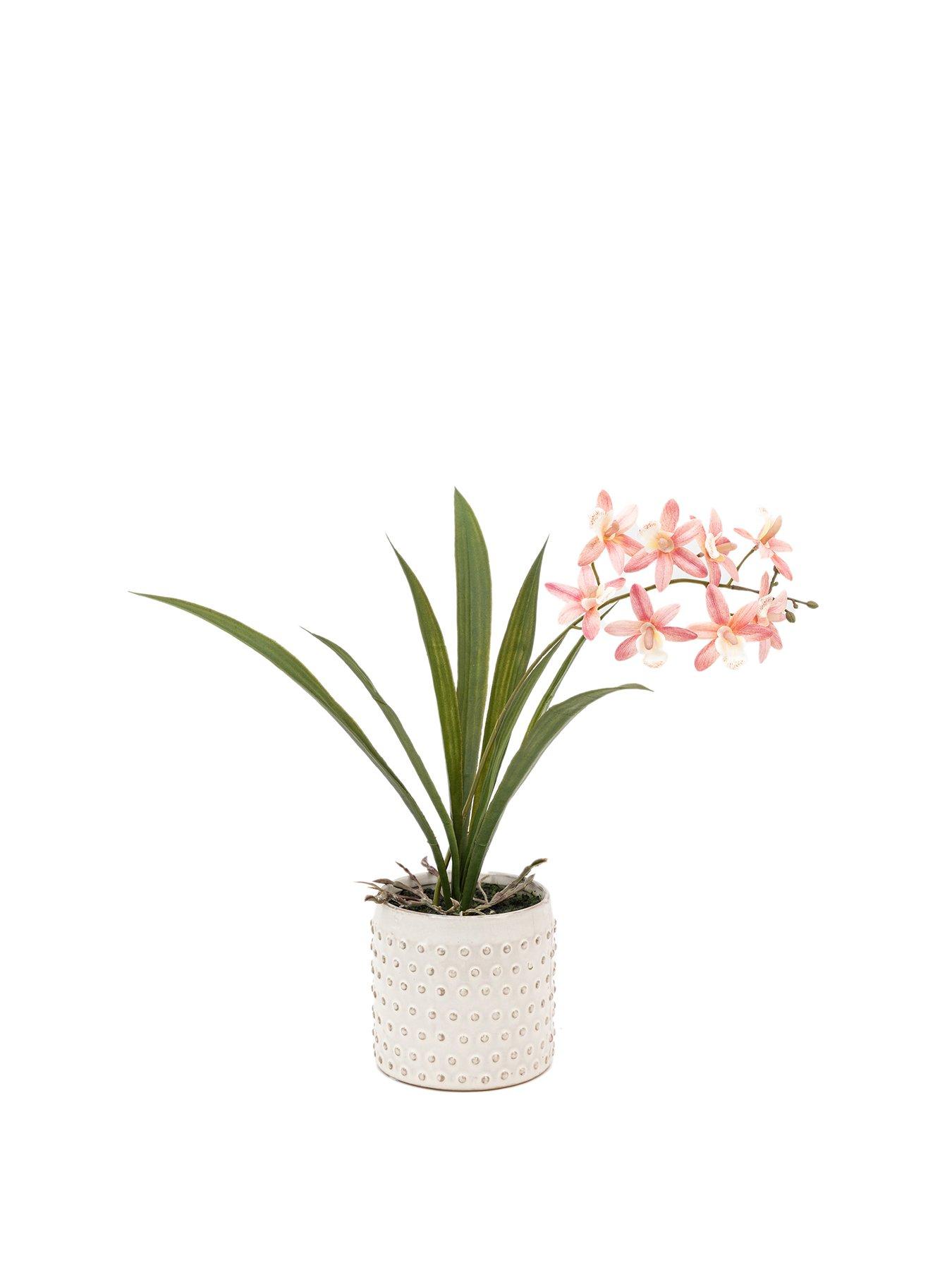 gallery-direct-orchid-pink-in-white-ceramic-dot-pot-400mmstillFront