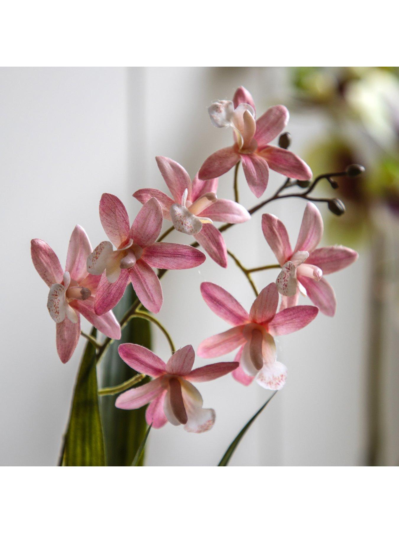 gallery-direct-orchid-pink-in-white-ceramic-dot-pot-400mmback