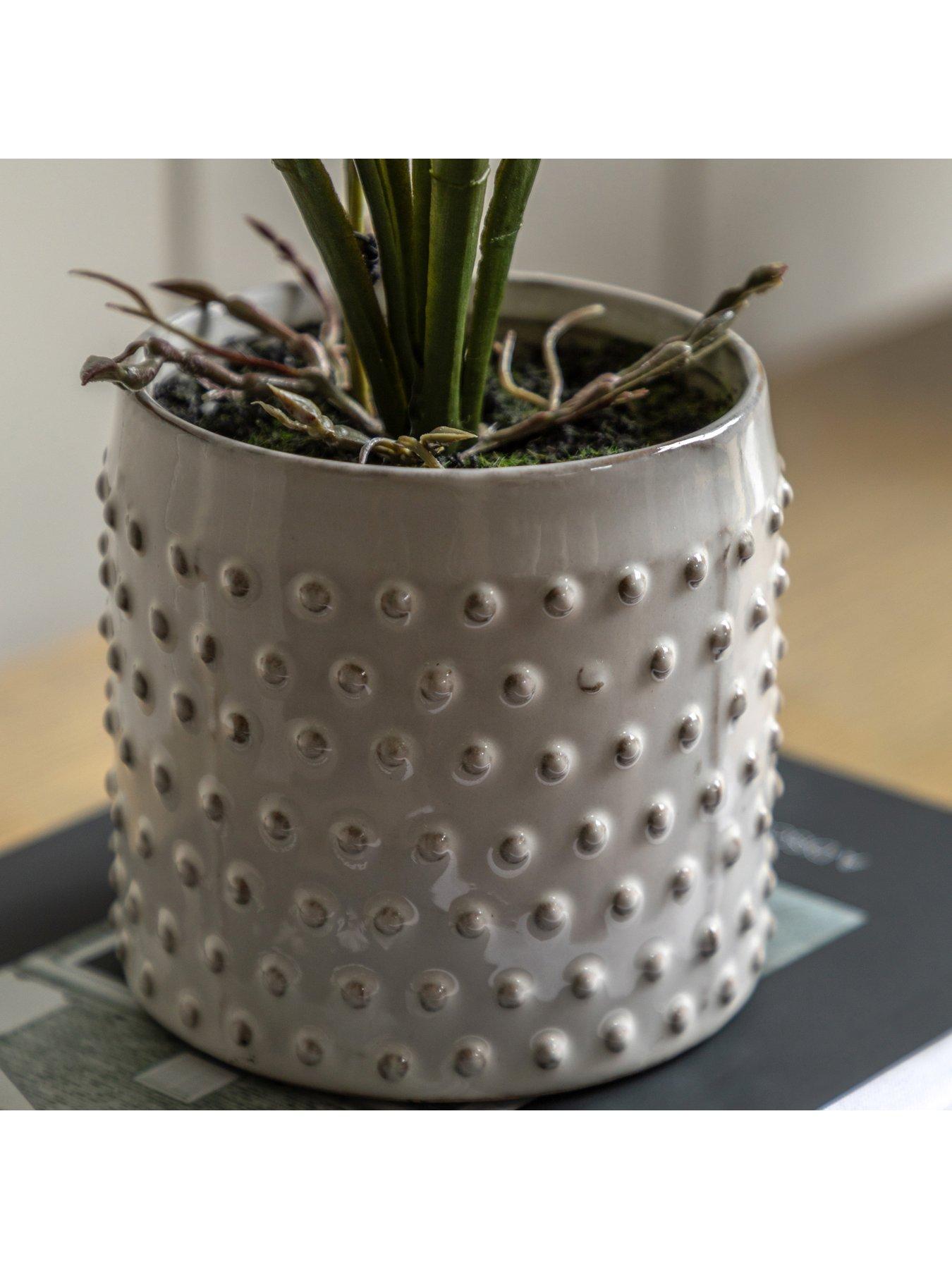 gallery-direct-orchid-pink-in-white-ceramic-dot-pot-400mmoutfit