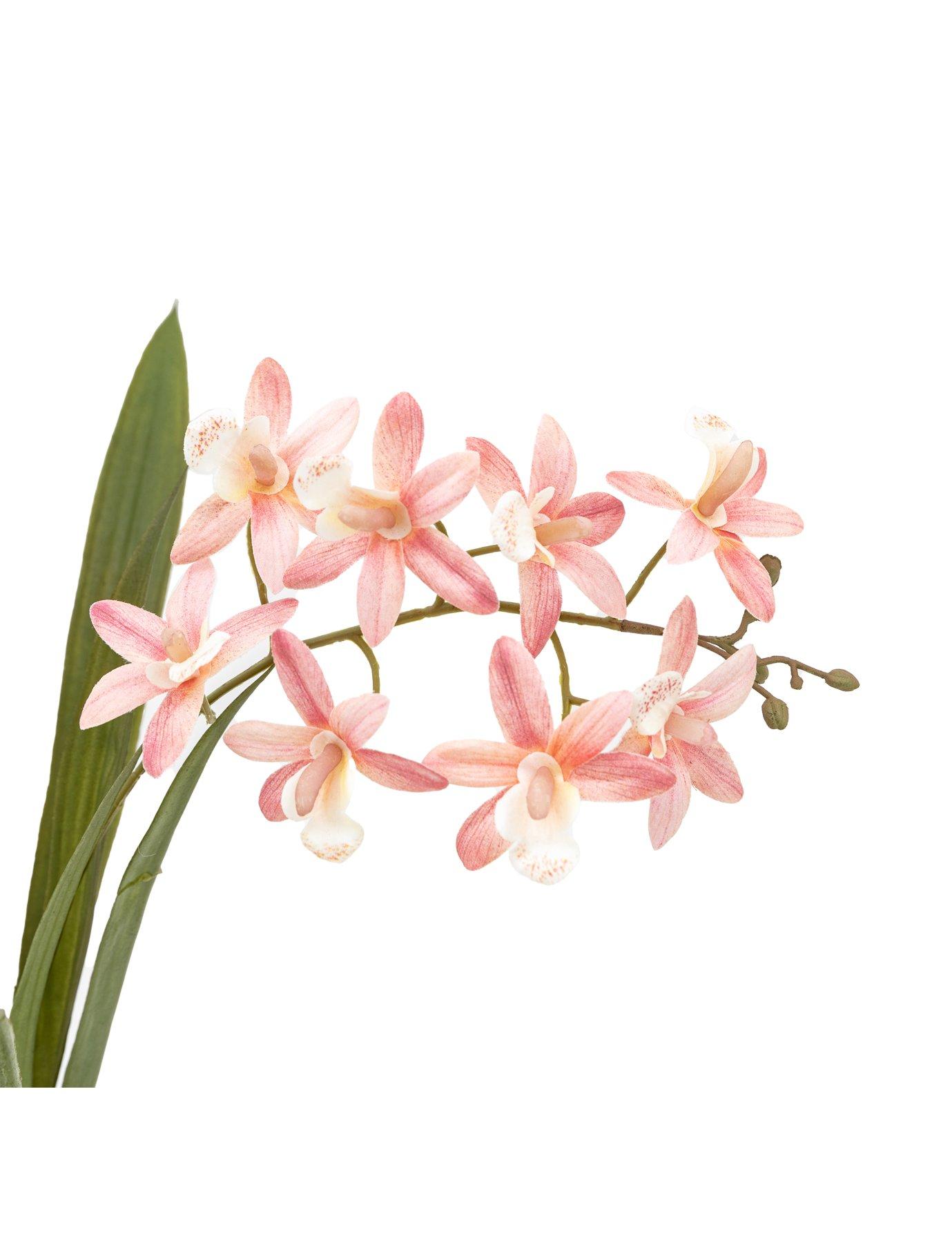 gallery-direct-orchid-pink-in-white-ceramic-dot-pot-400mmdetail