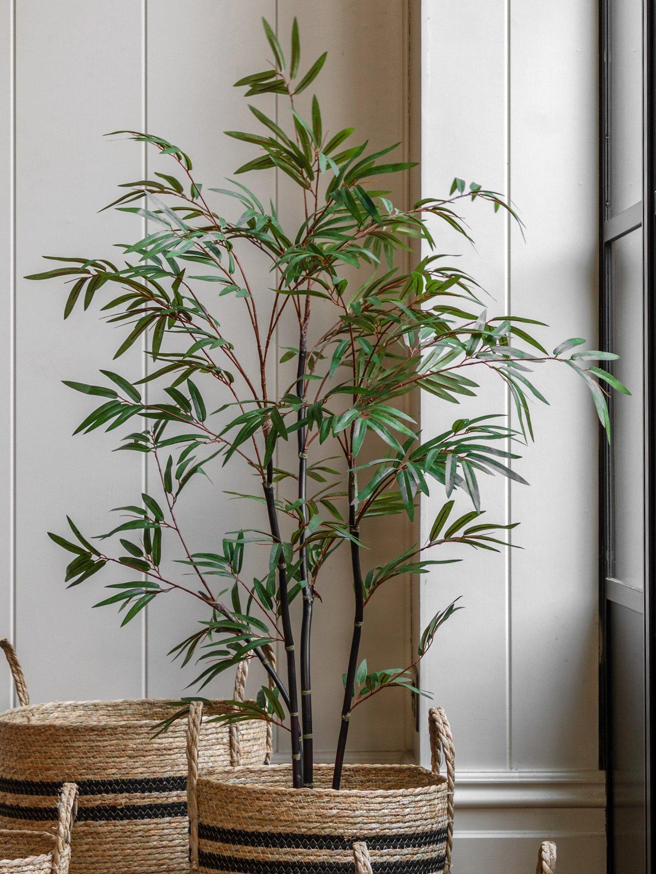 gallery-direct-potted-bamboo-tree-4ft