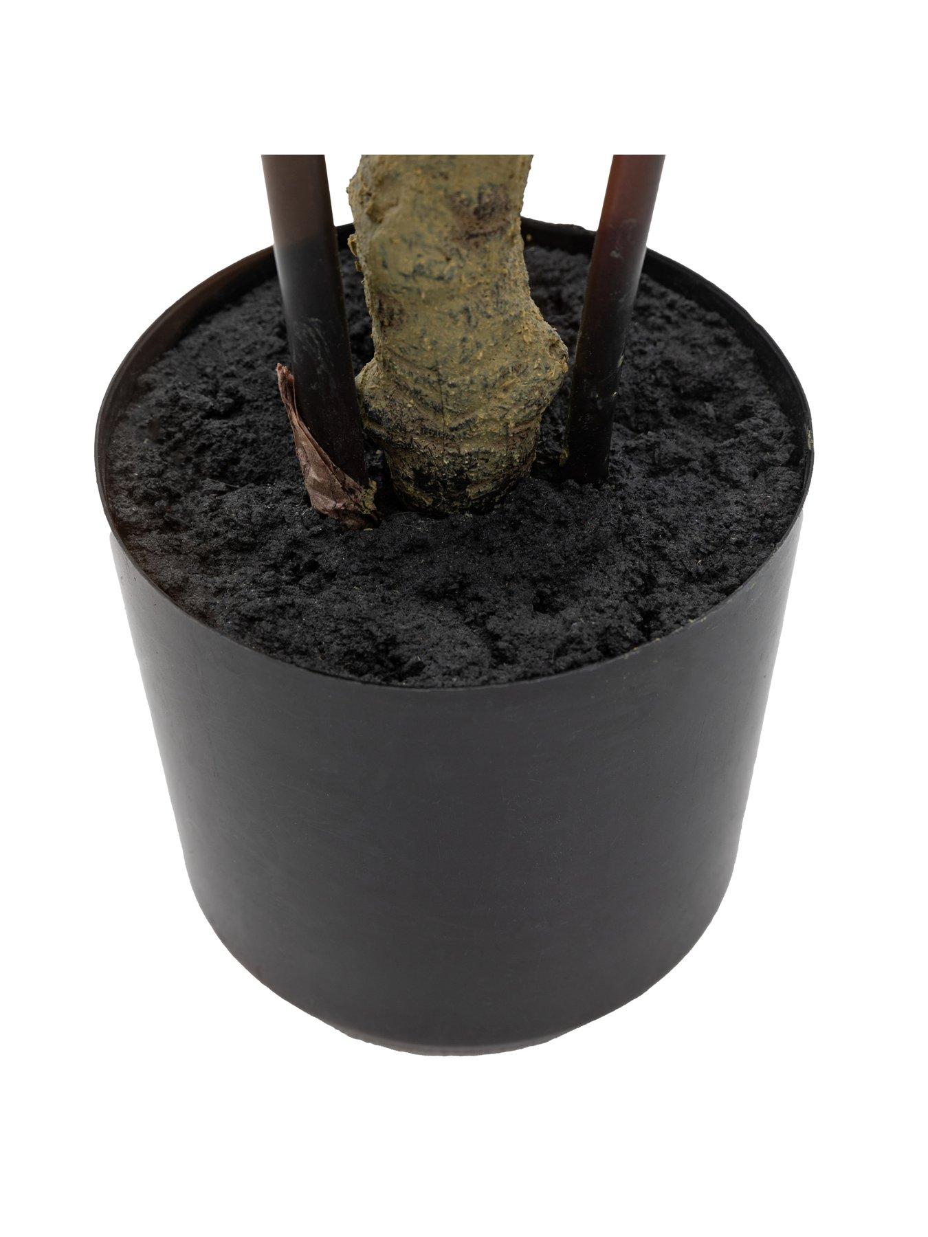 gallery-direct-potted-bamboo-tree-4ftback