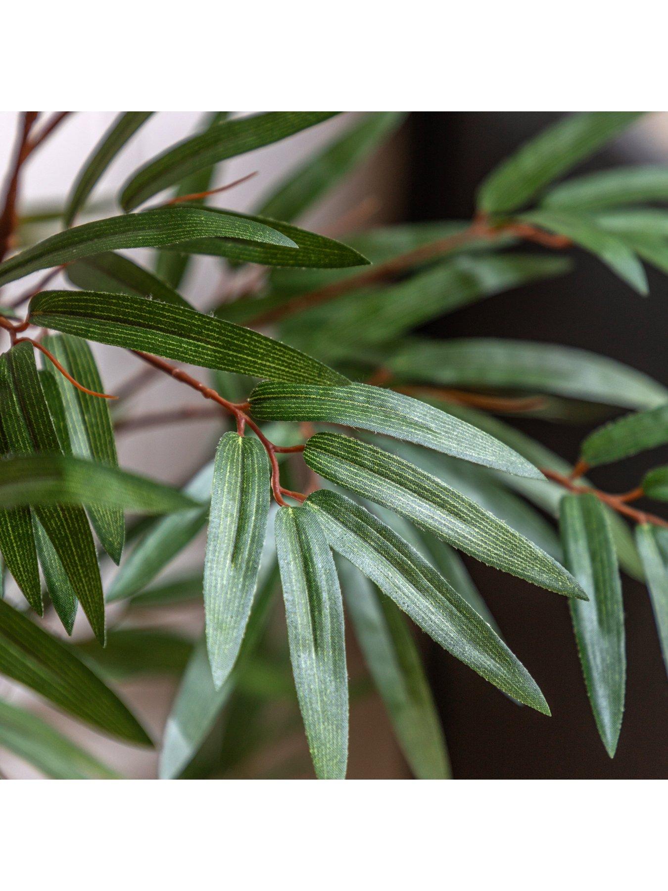 gallery-direct-potted-bamboo-tree-4ftoutfit