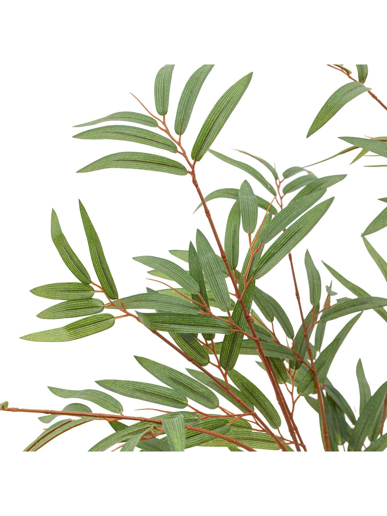 gallery-direct-potted-bamboo-tree-4ftdetail