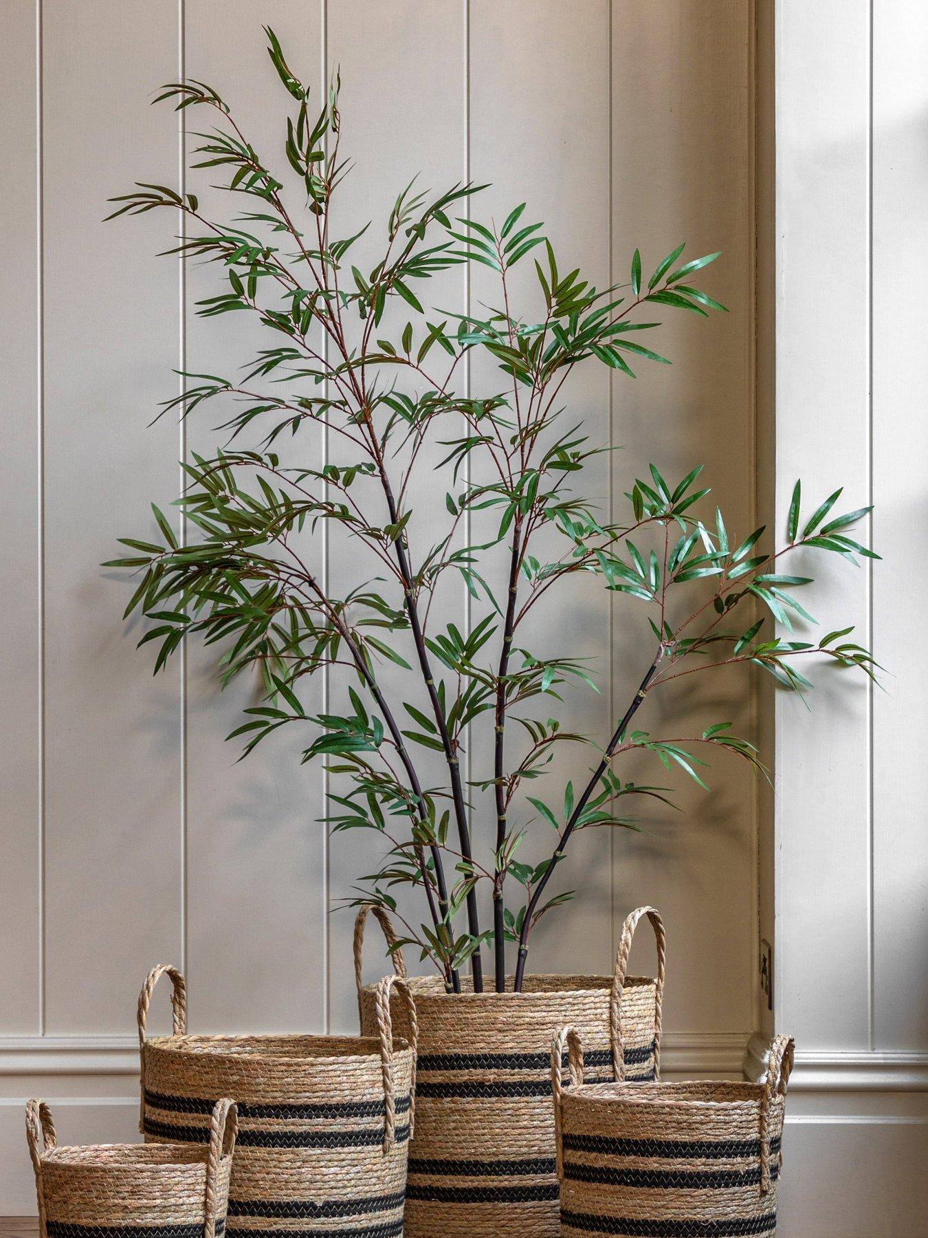 gallery-direct-potted-bamboo-tree-5ft