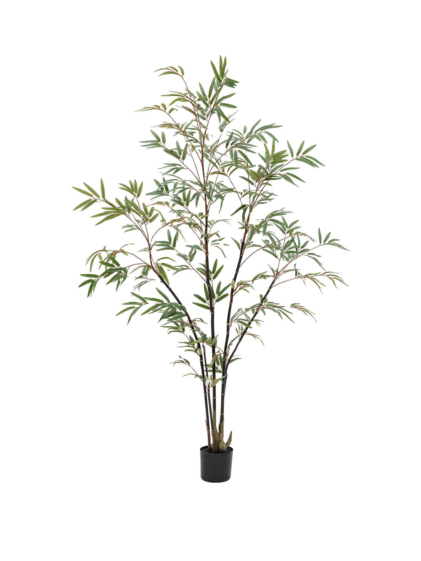gallery-direct-potted-bamboo-tree-5ftstillFront