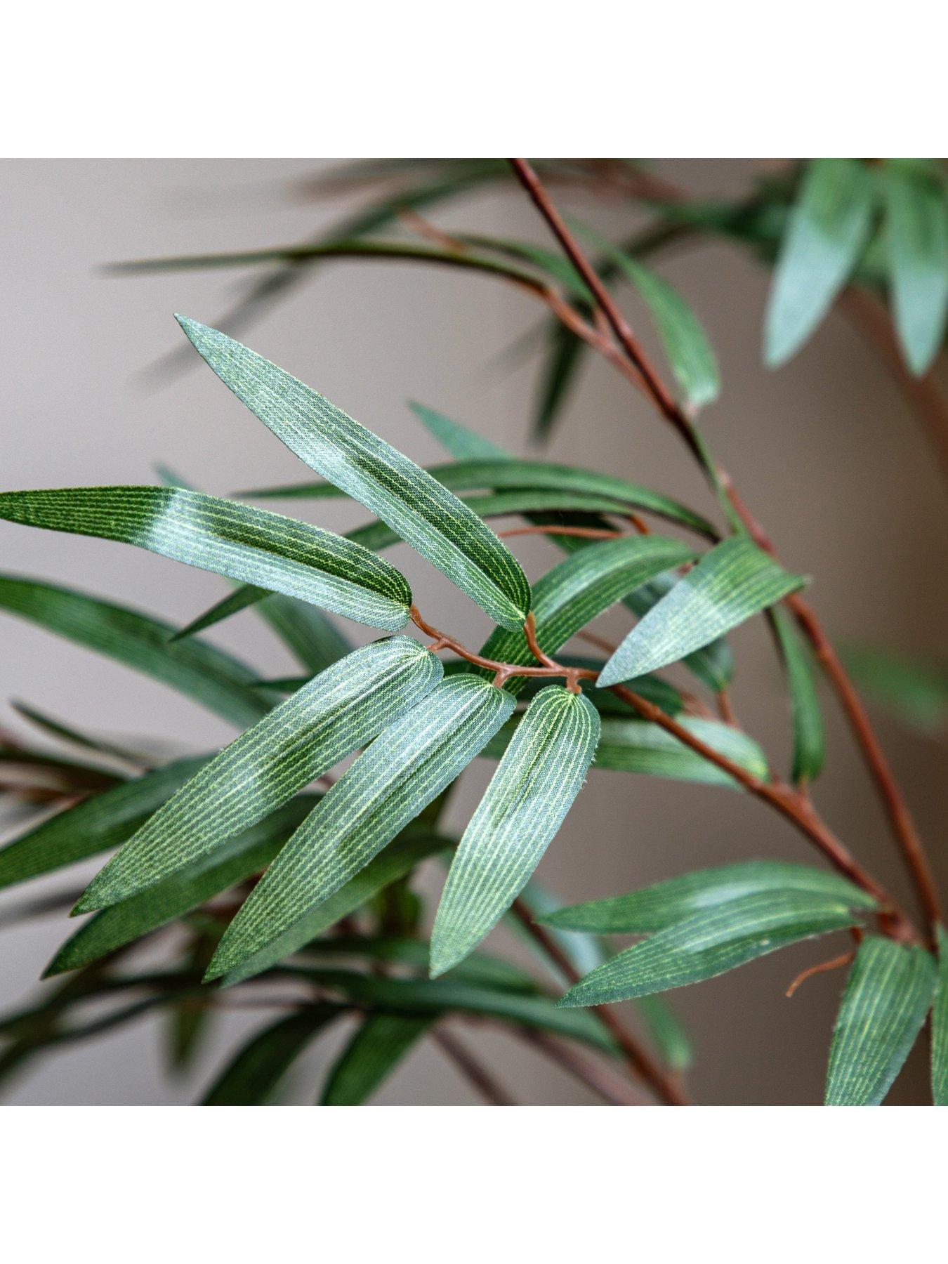 gallery-direct-potted-bamboo-tree-5ftback