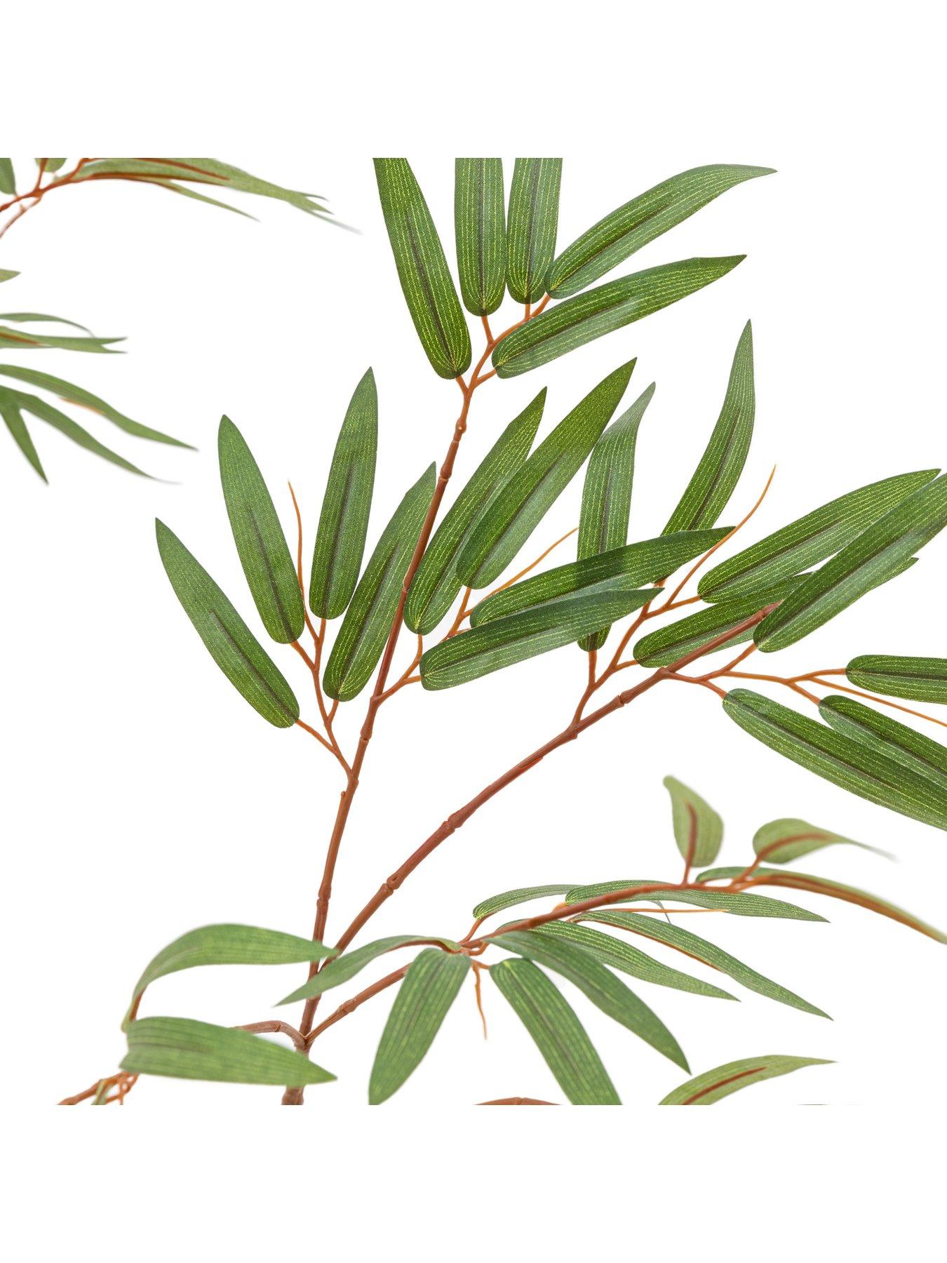 gallery-direct-potted-bamboo-tree-5ftoutfit