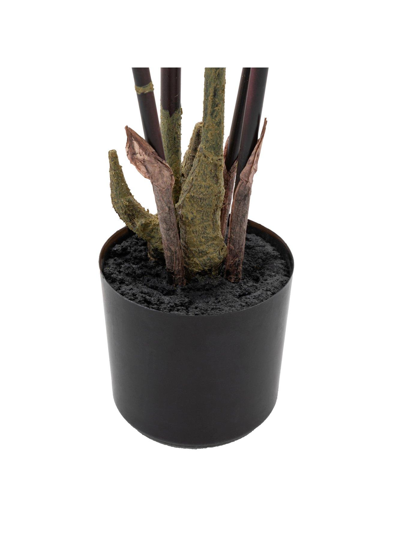 gallery-direct-potted-bamboo-tree-5ftdetail