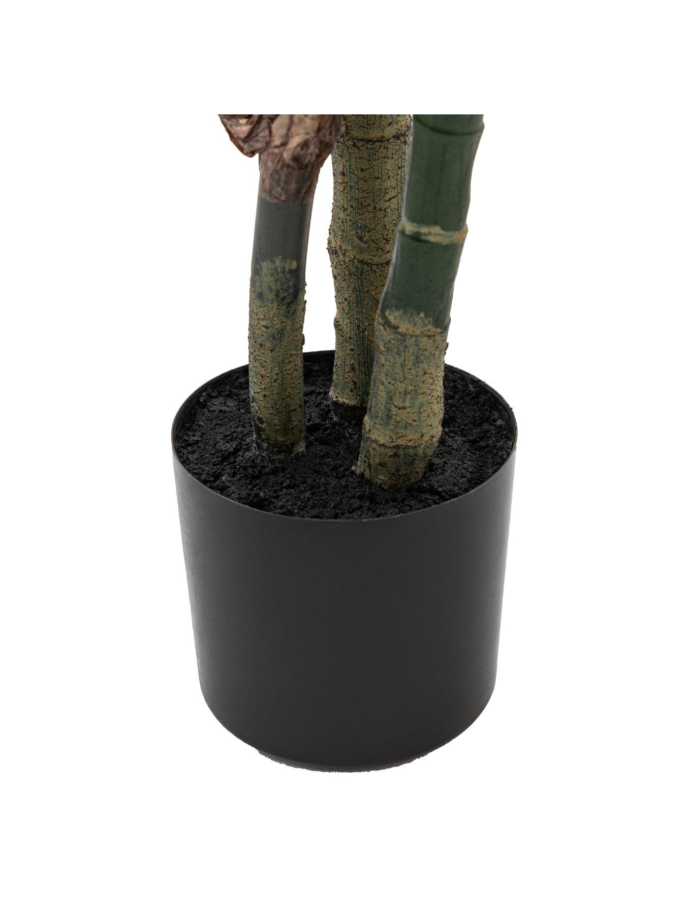 Image 5 of 6 of Gallery Direct Potted Calathea Leaf Tree 4ft