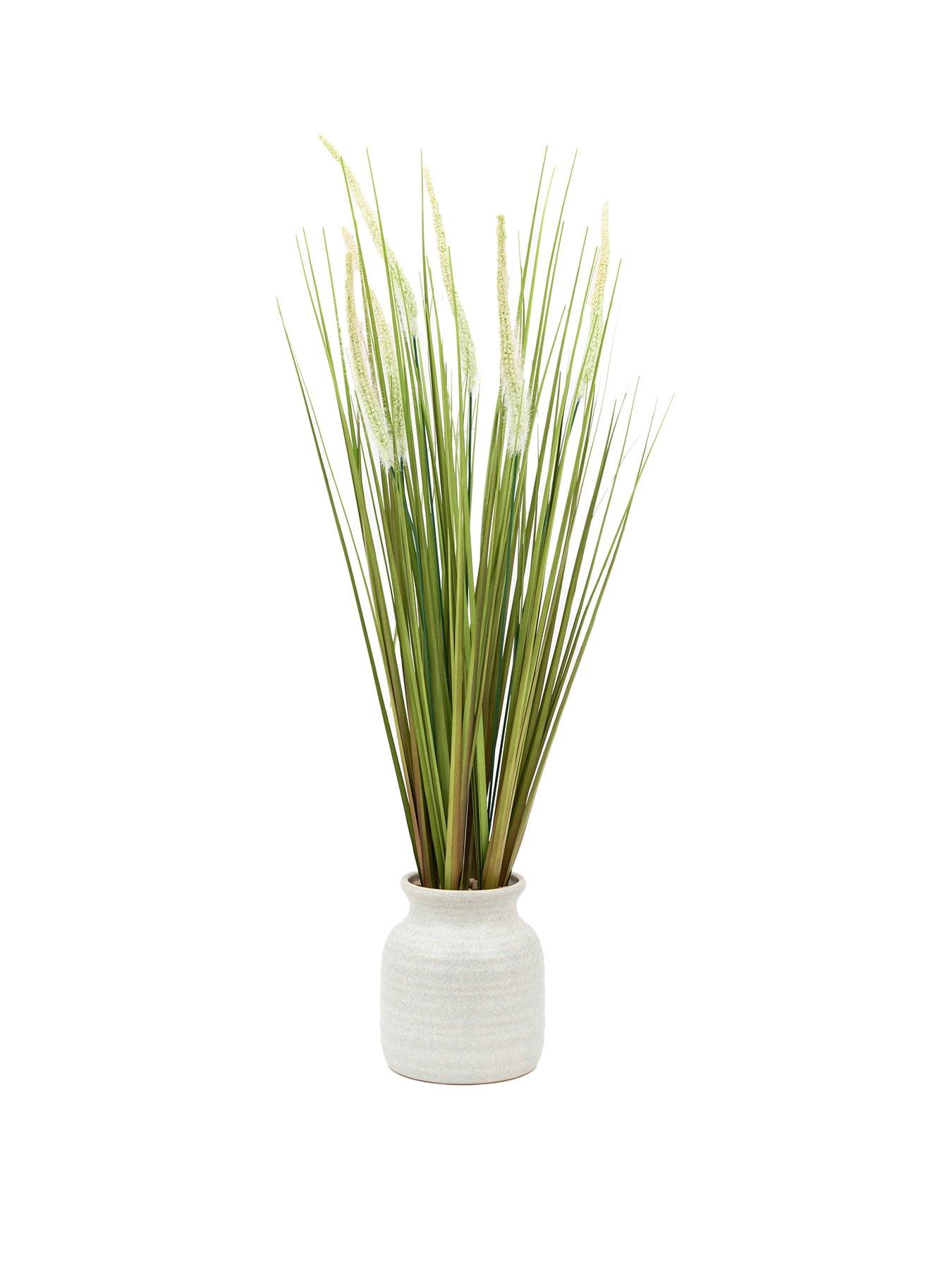 gallery-direct-potted-grass-with-feathered-wildflowerstillFront