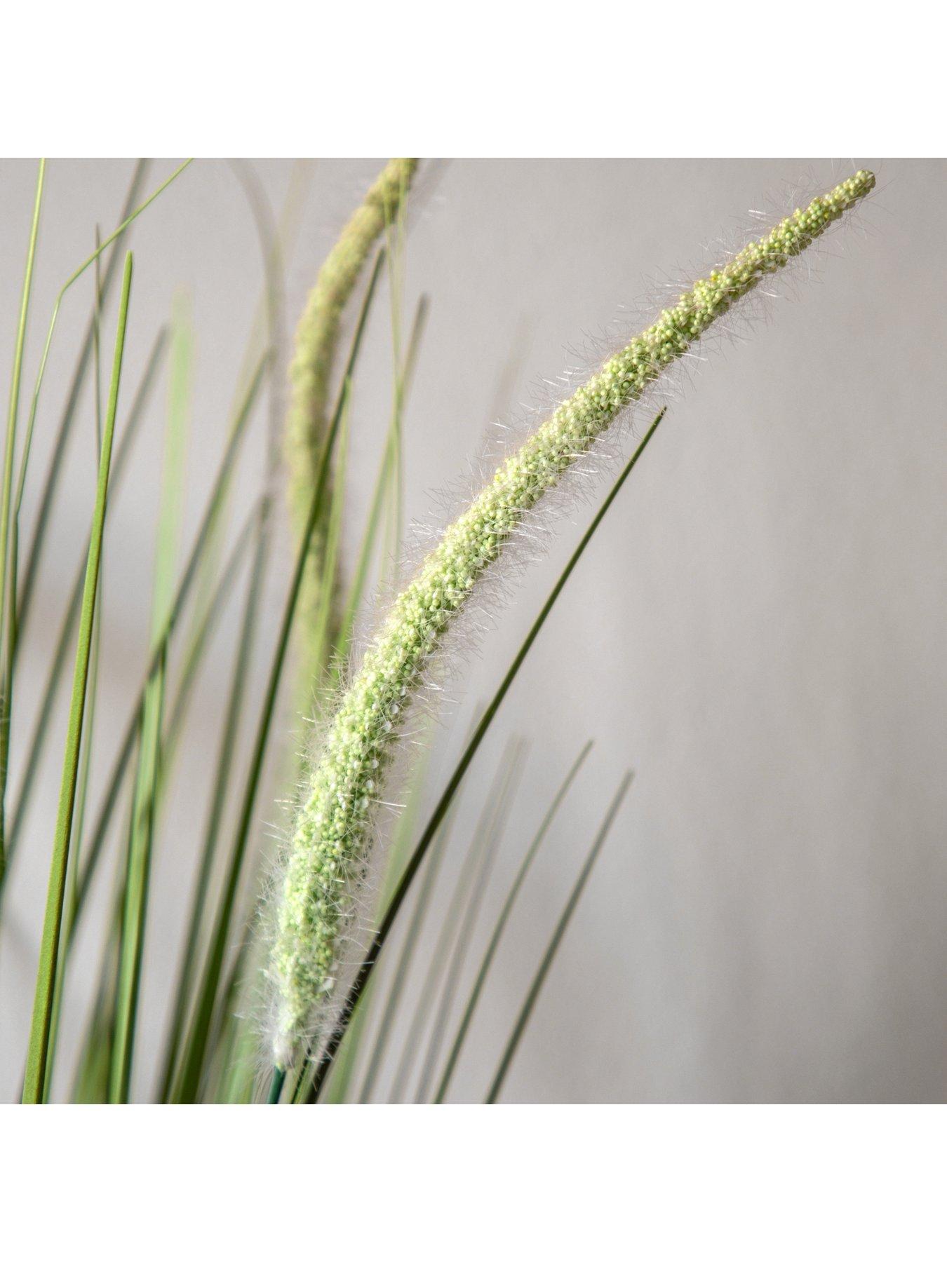 gallery-direct-potted-grass-with-feathered-wildflowerback